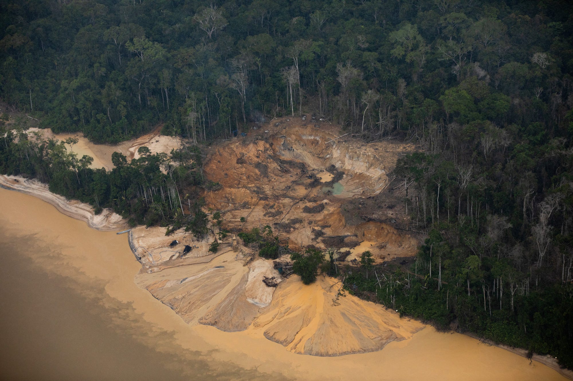 How Xingu riverside people are feeding the periphery of Altamira with forest products