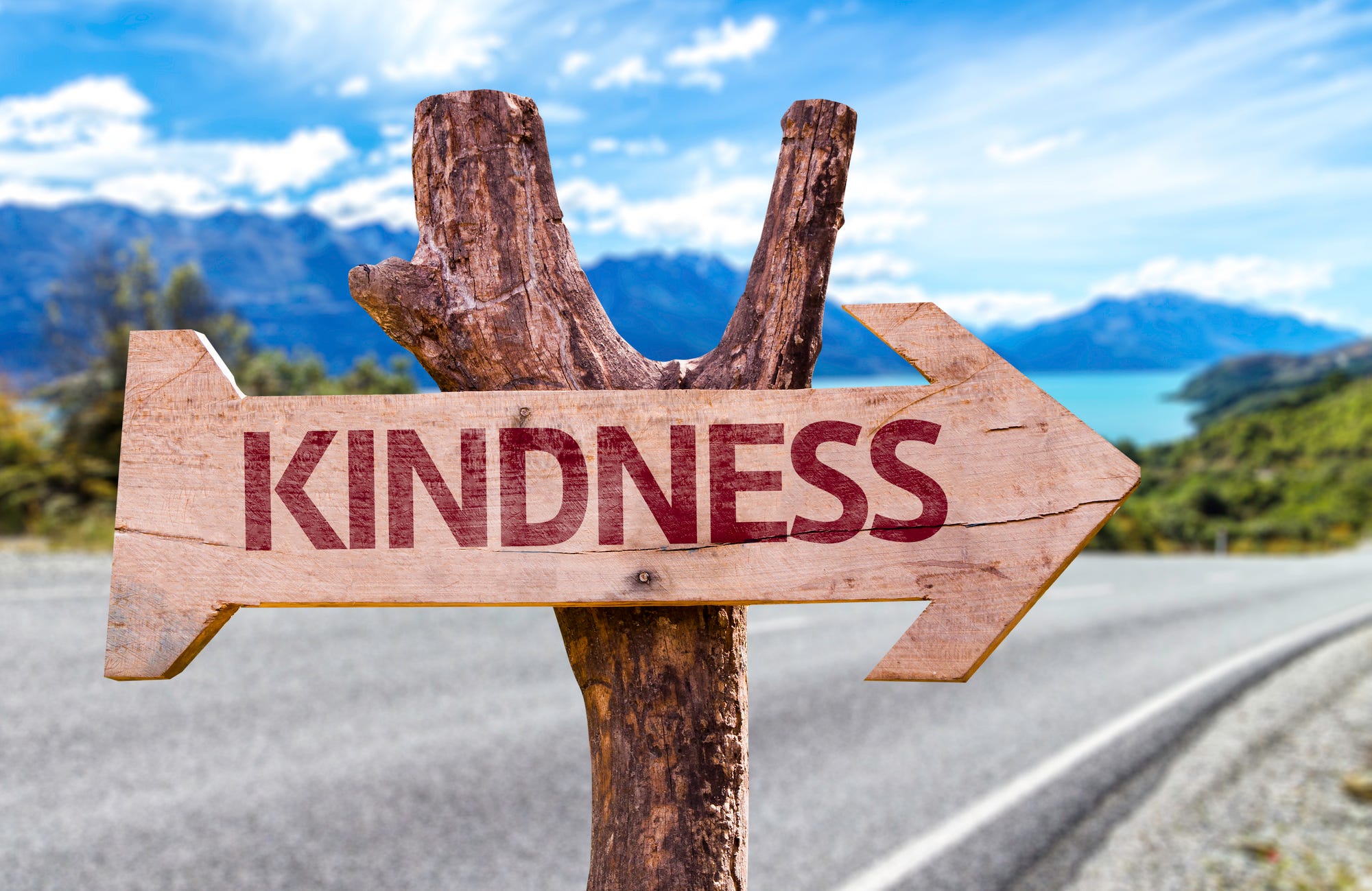 kindness this way sign