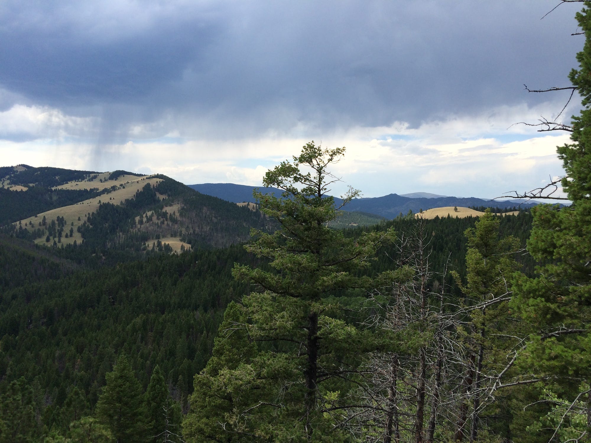 Fear of WideOpen Spaces, and Recognizing Life’s Fragility by Keri