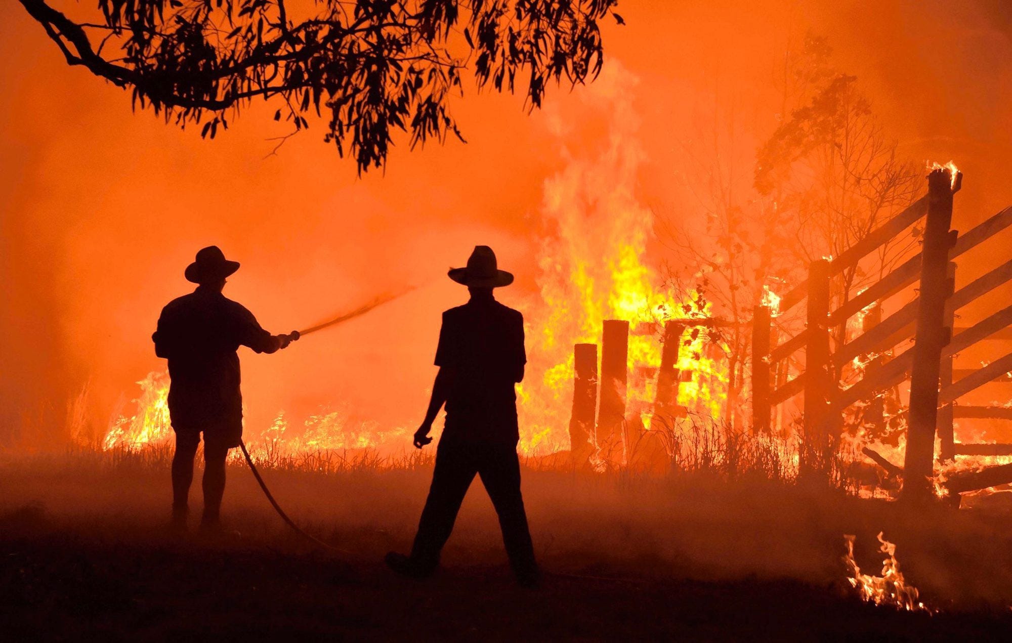I Am Australian and the Bushfires Really Are Devastating | by Tim Denning |  Medium