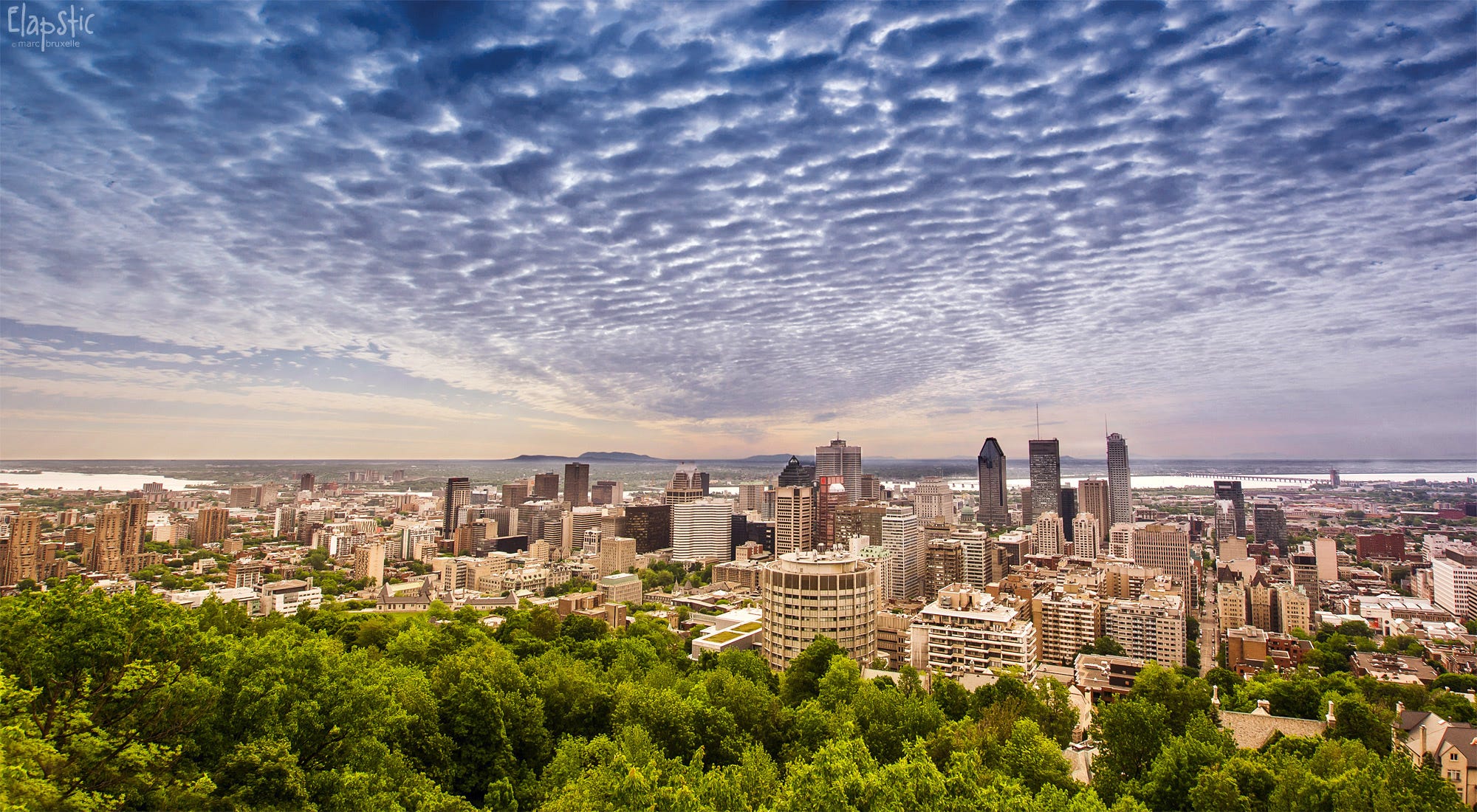 Top 10 Wine Bars In Montreal Canada Valerie Nourissat Medium