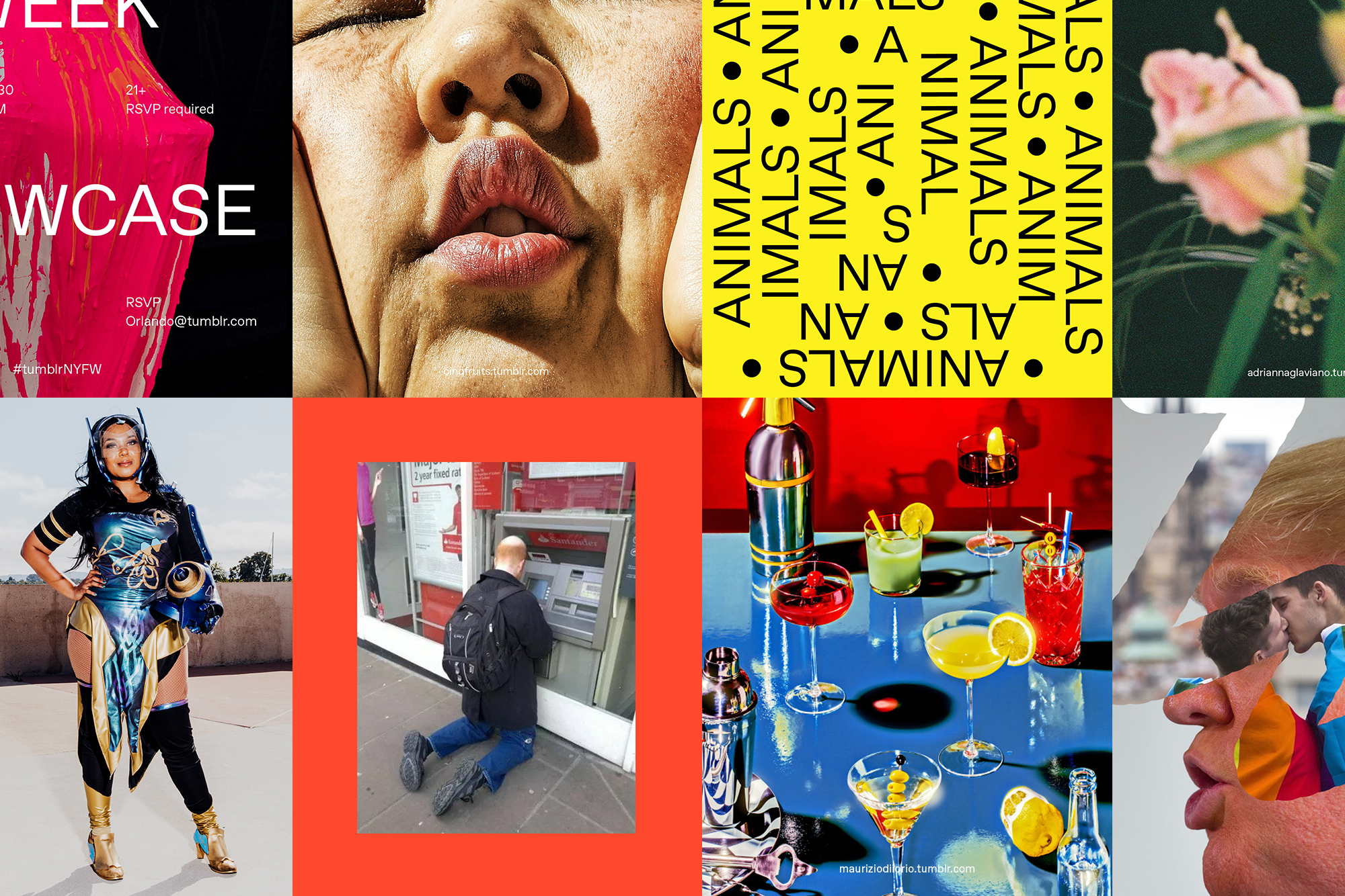 Take Another Look At Tumblr Doug Richard Medium