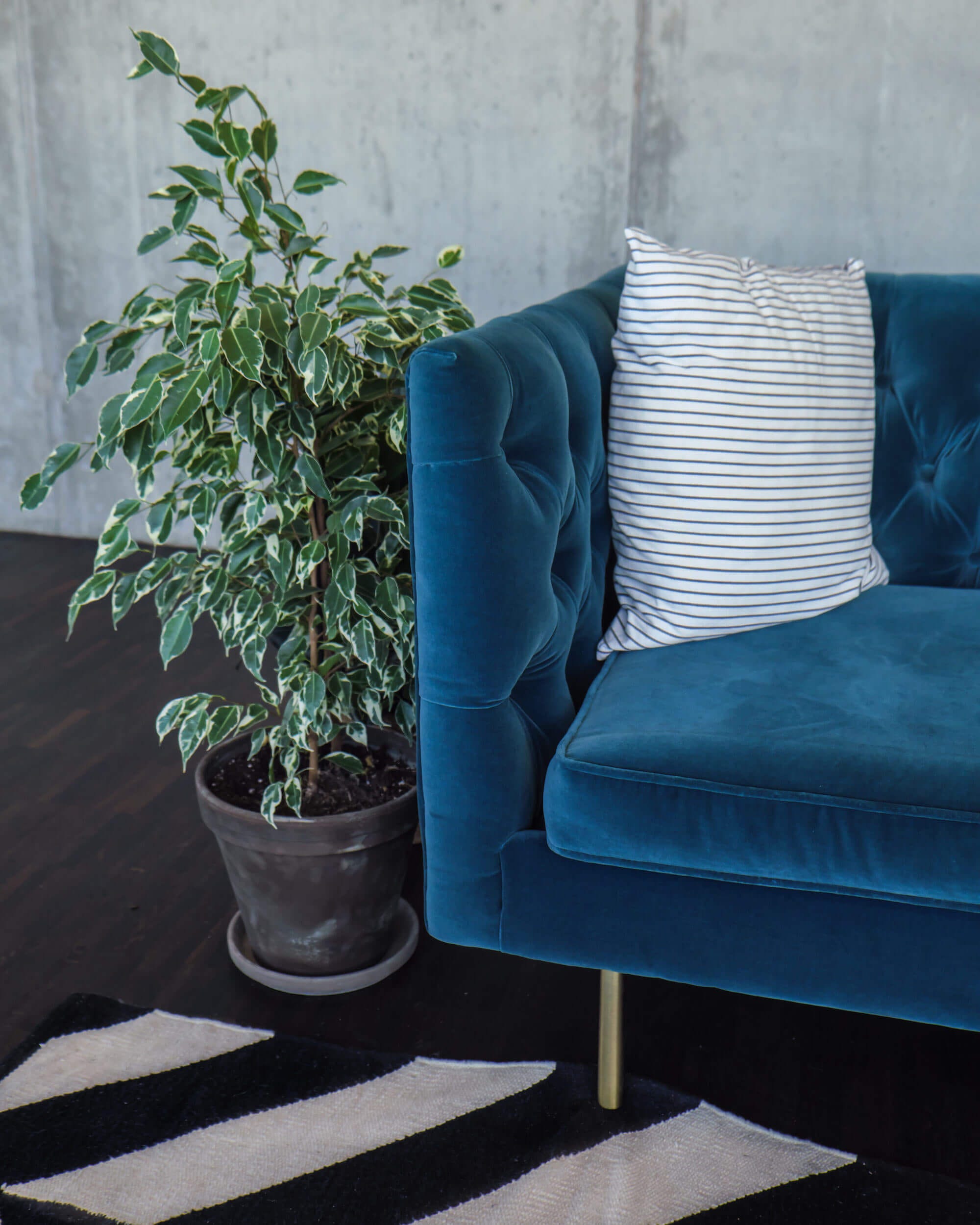 Concrete walls + green leaves + soft materials = 😍