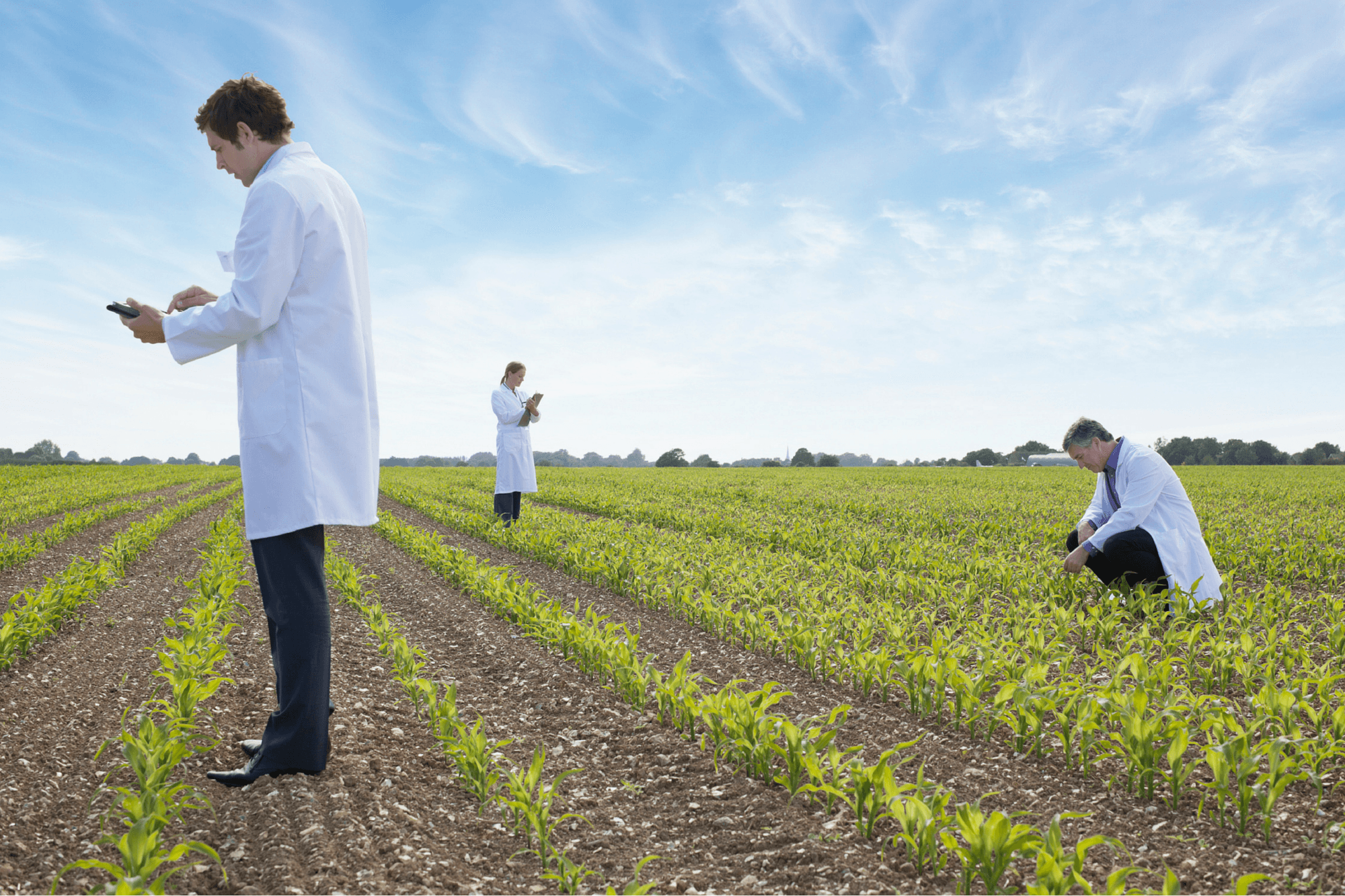What You Need to Know About the Biotech Revolution in Agriculture by