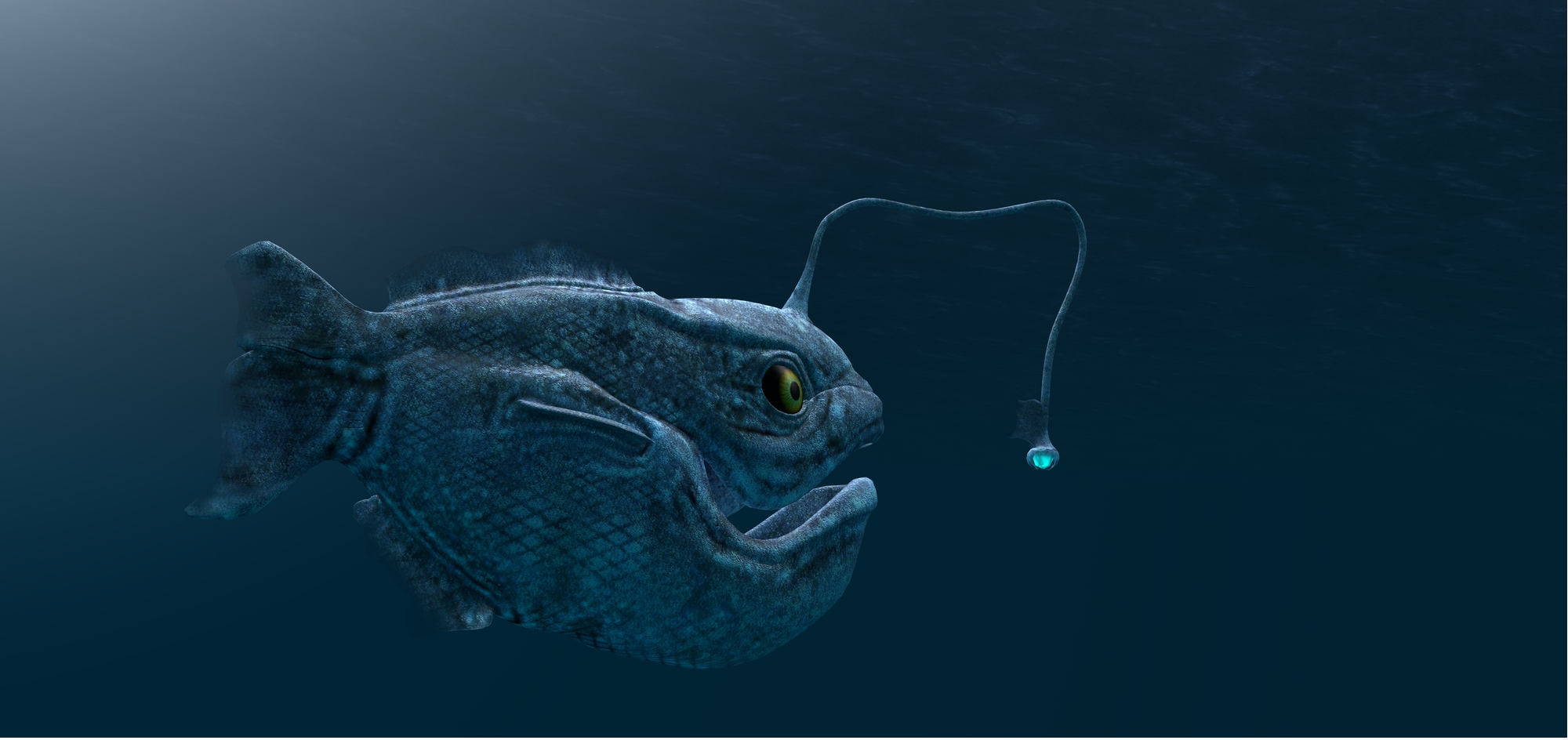 Get Fundo do mar fotos Free Fundo Do Mar Fotos