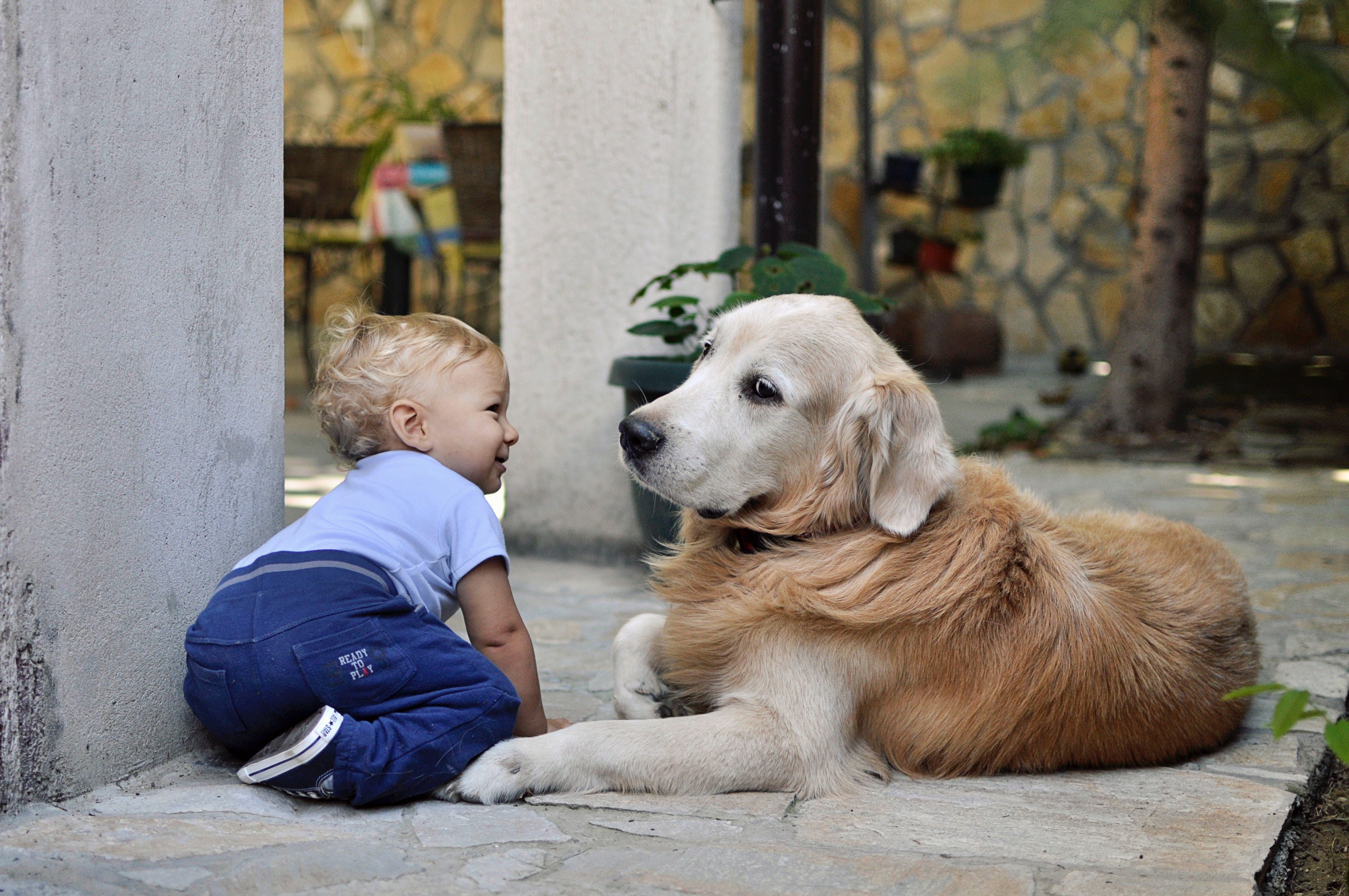 pawsitive puppy school