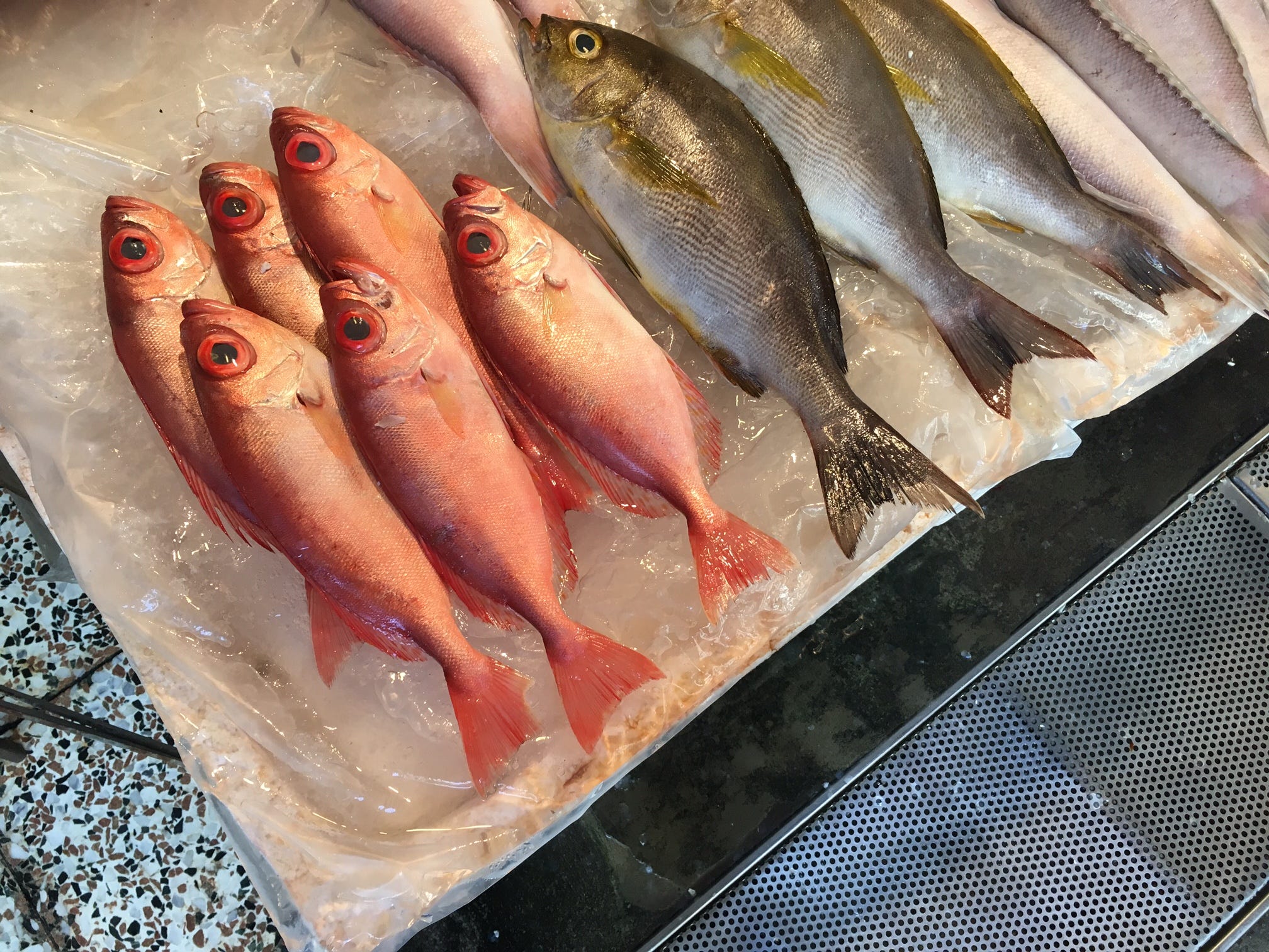 台湾の魚 基隆 Keelung でエキサイティングな魚市場を見つけたのでご紹介 By Tanu Tail Lab Medium