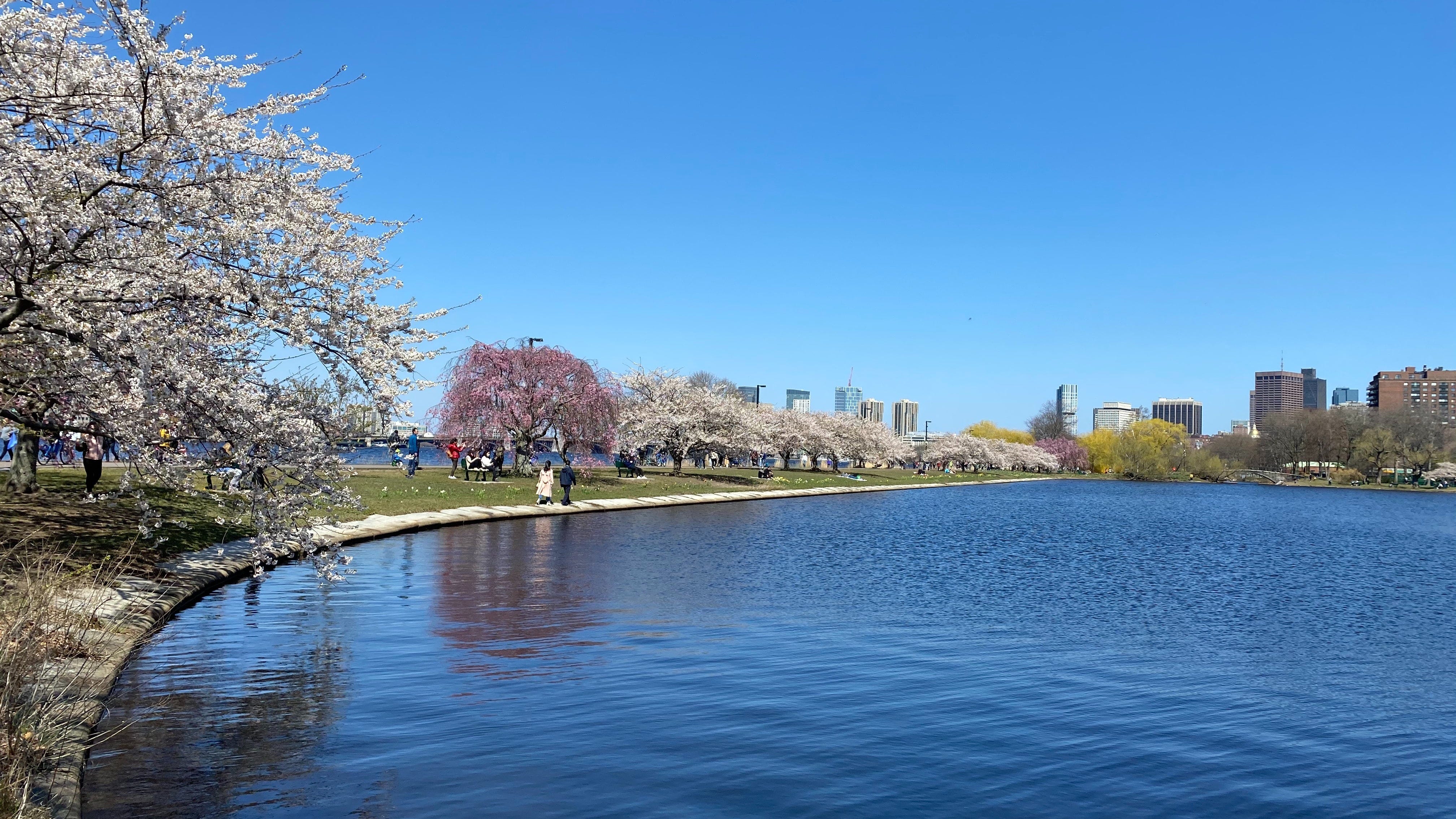 Spring in Boston — Charles River