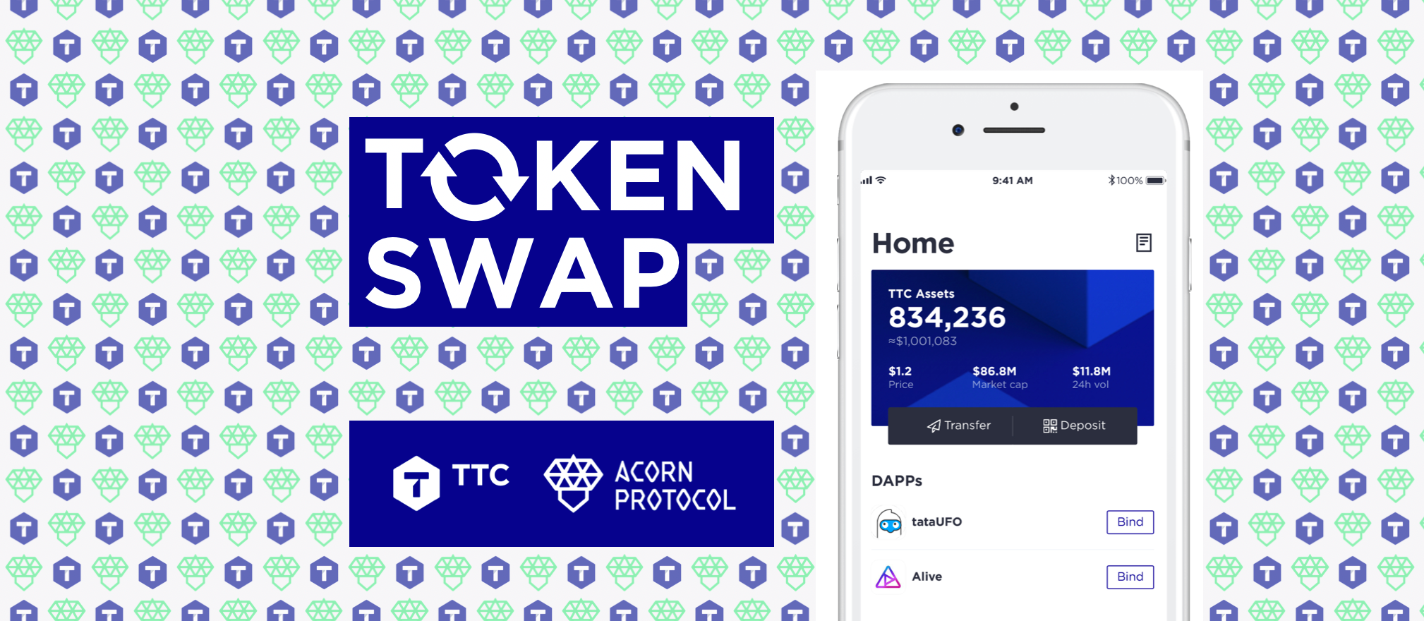 The TTC Holder’s Guide to Token Swap using TTC Connect