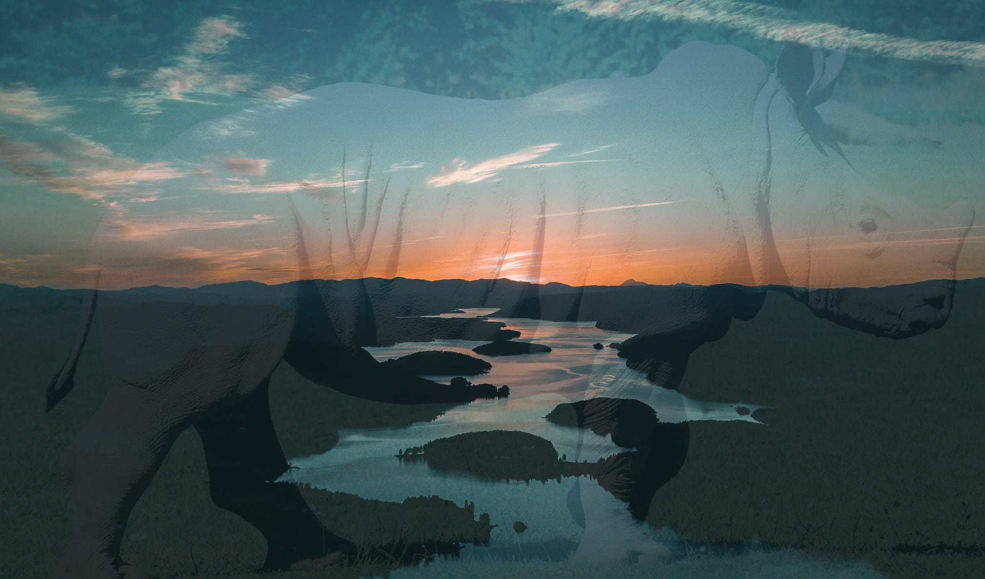 “The River is Within Us”. When we first met Kai, he was a