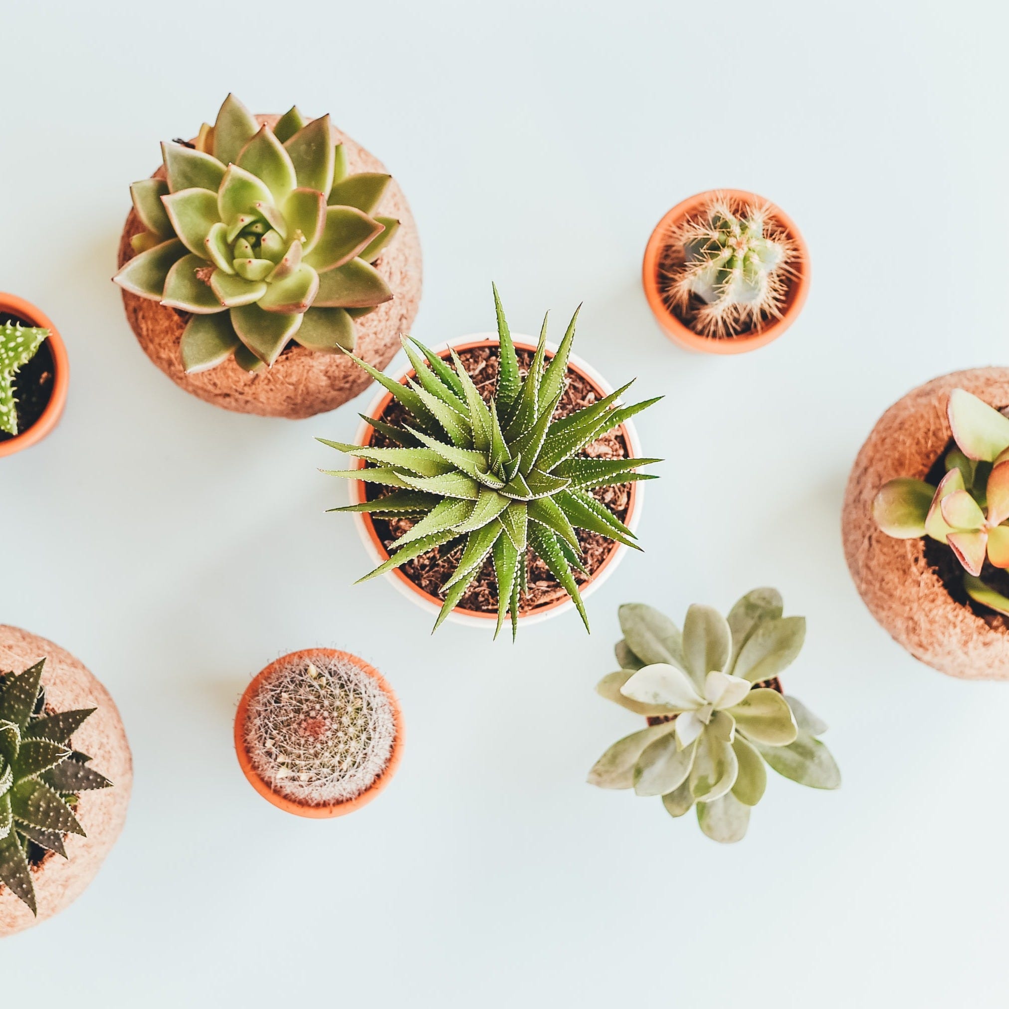 Start Designing Your Company Culture With These 10 Simple Steps By Eva Maria Zoll Culture Design Medium Start Designing Your Company Culture With These 10 Simple Steps By Eva Maria Zoll Culture Design Medium