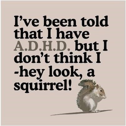 What is ADHD? Beyond the SQUIRREL! Joke | by Jaime Simons | Age of  Awareness | Medium