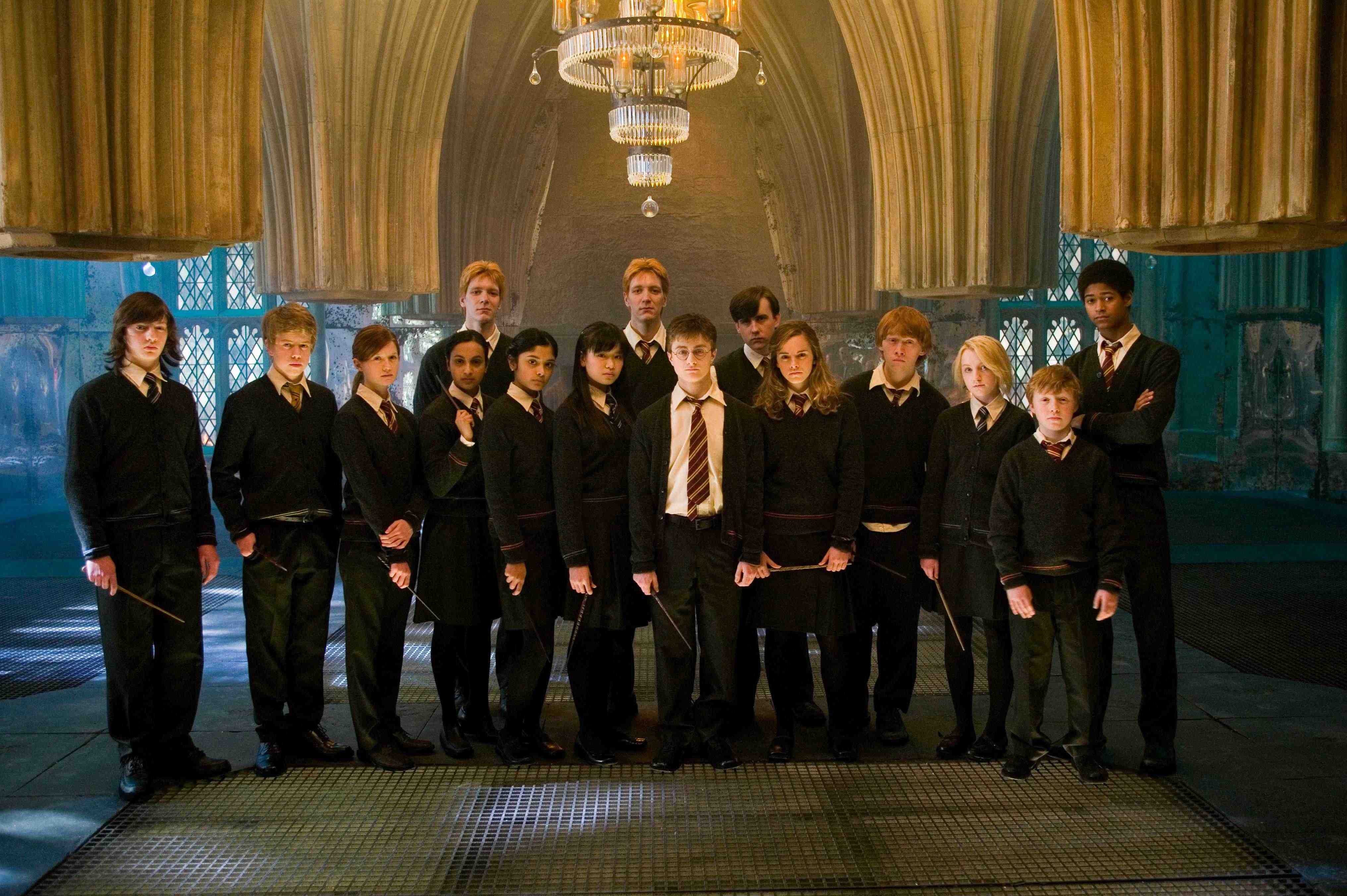 Harry Potter- an instance of LMX theory of leadership 
