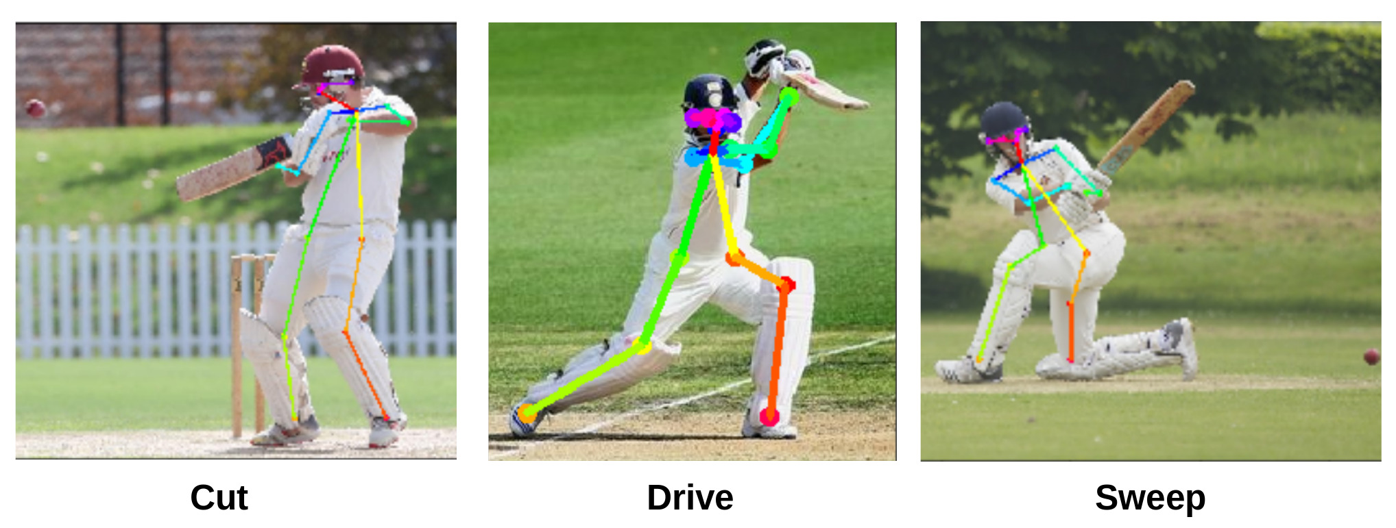 machine learning cricket