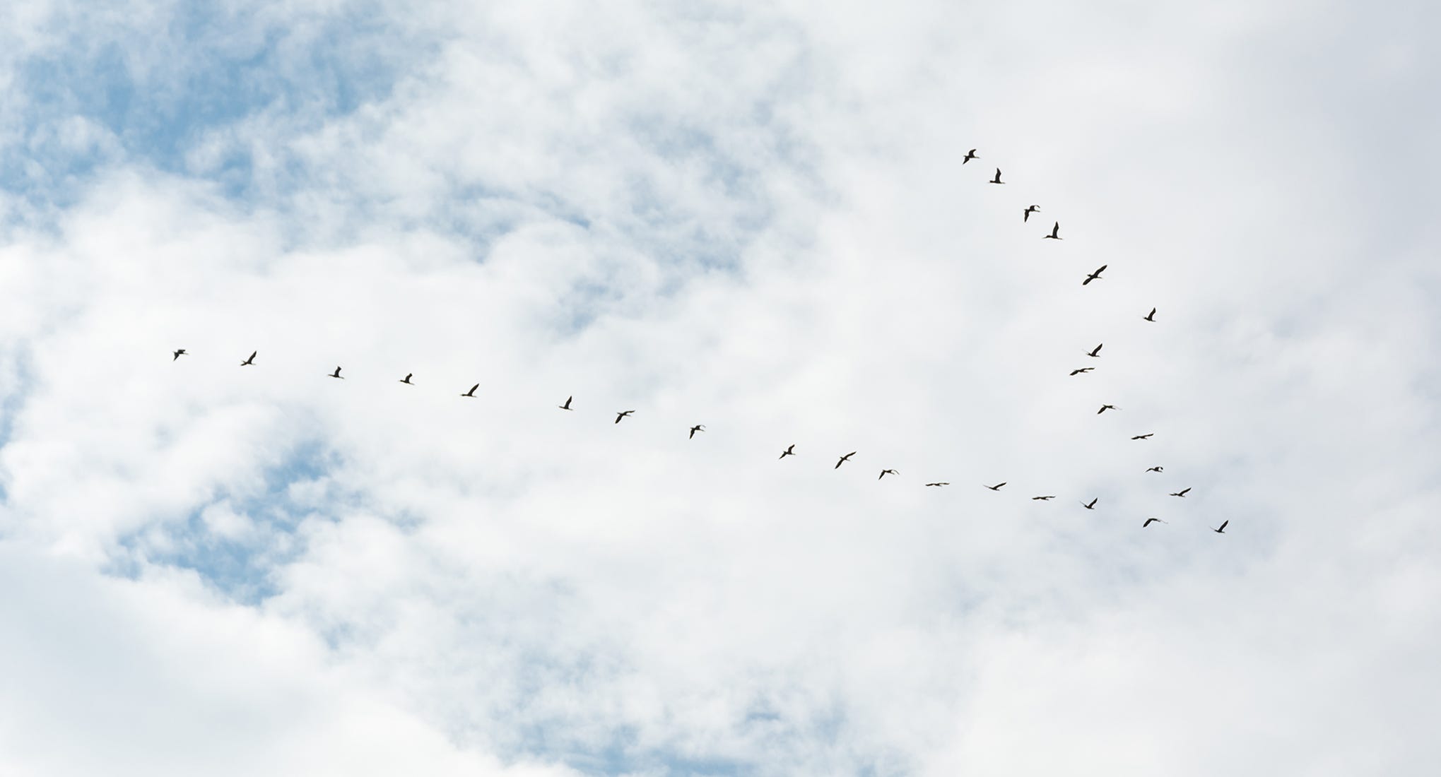 Migrating birds in formation, crossing a partly clouded sky