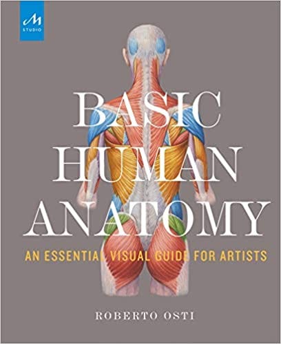 Pdf Online Basic Human Anatomy An Essential Visual Guide For Artists For Any Device By Jadielelliott Feb 2021 Medium