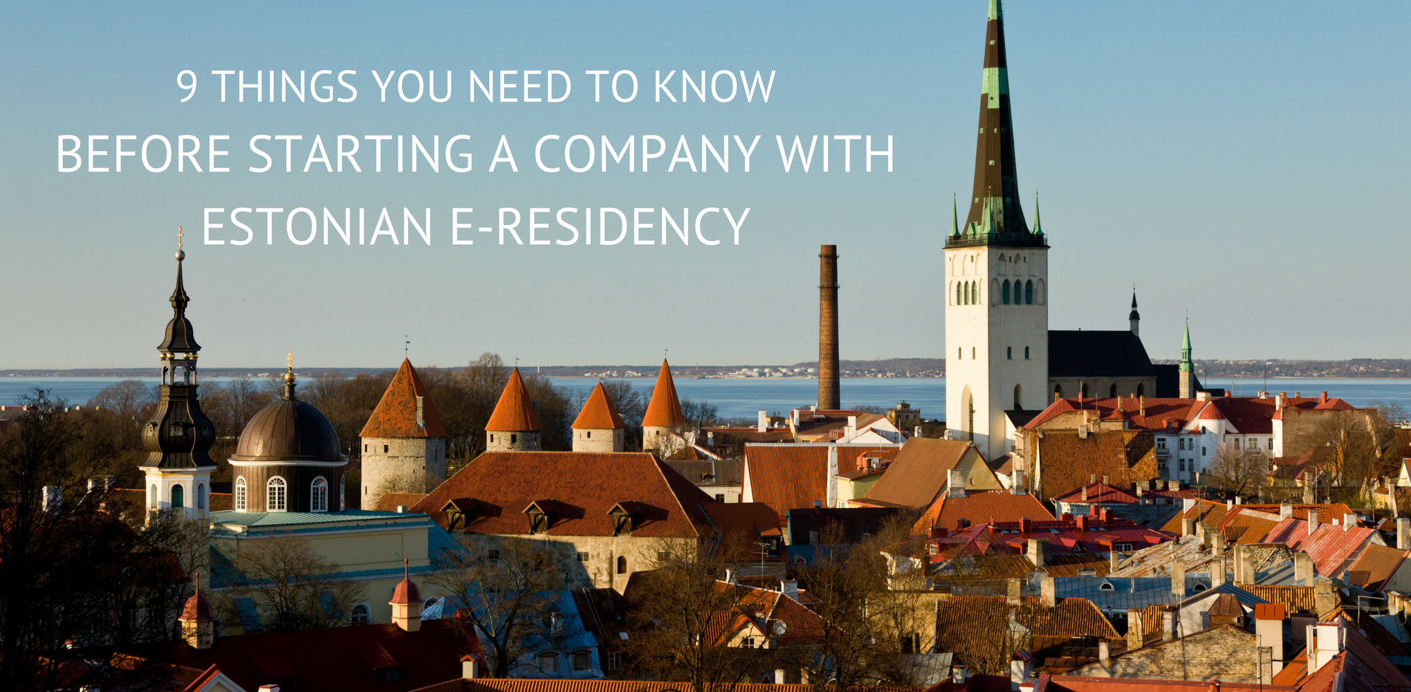 9 Things You Need to Know Before Starting a Company With Estonian e