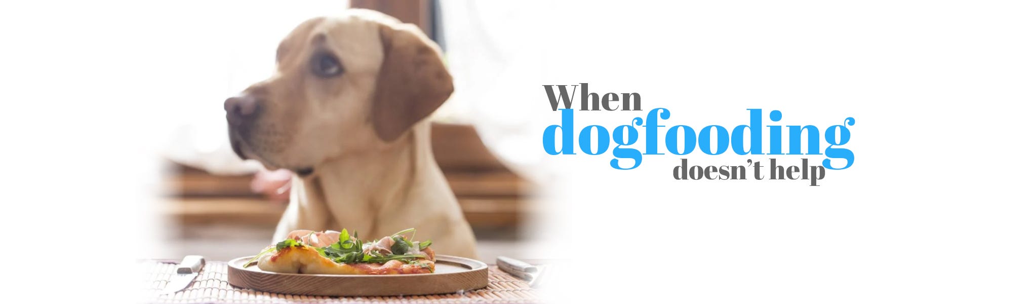 dogfooding tech meaning