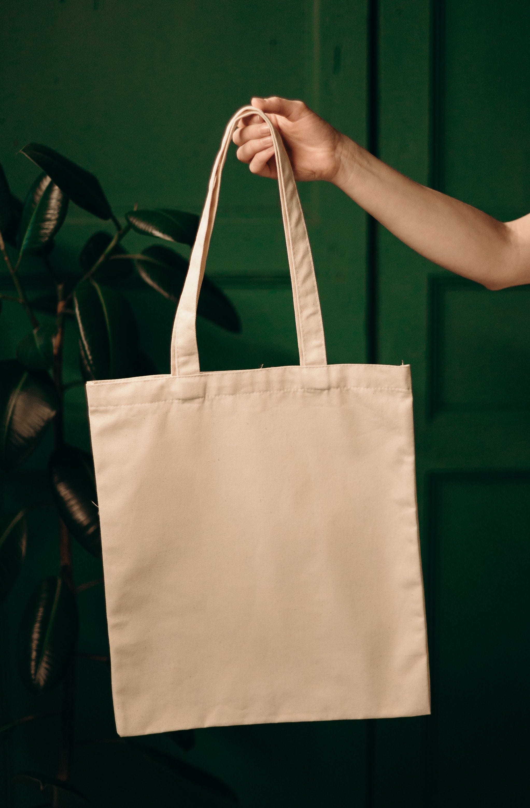 Advantages Of Paper Bags Vs Plastic Bags IUCN Water