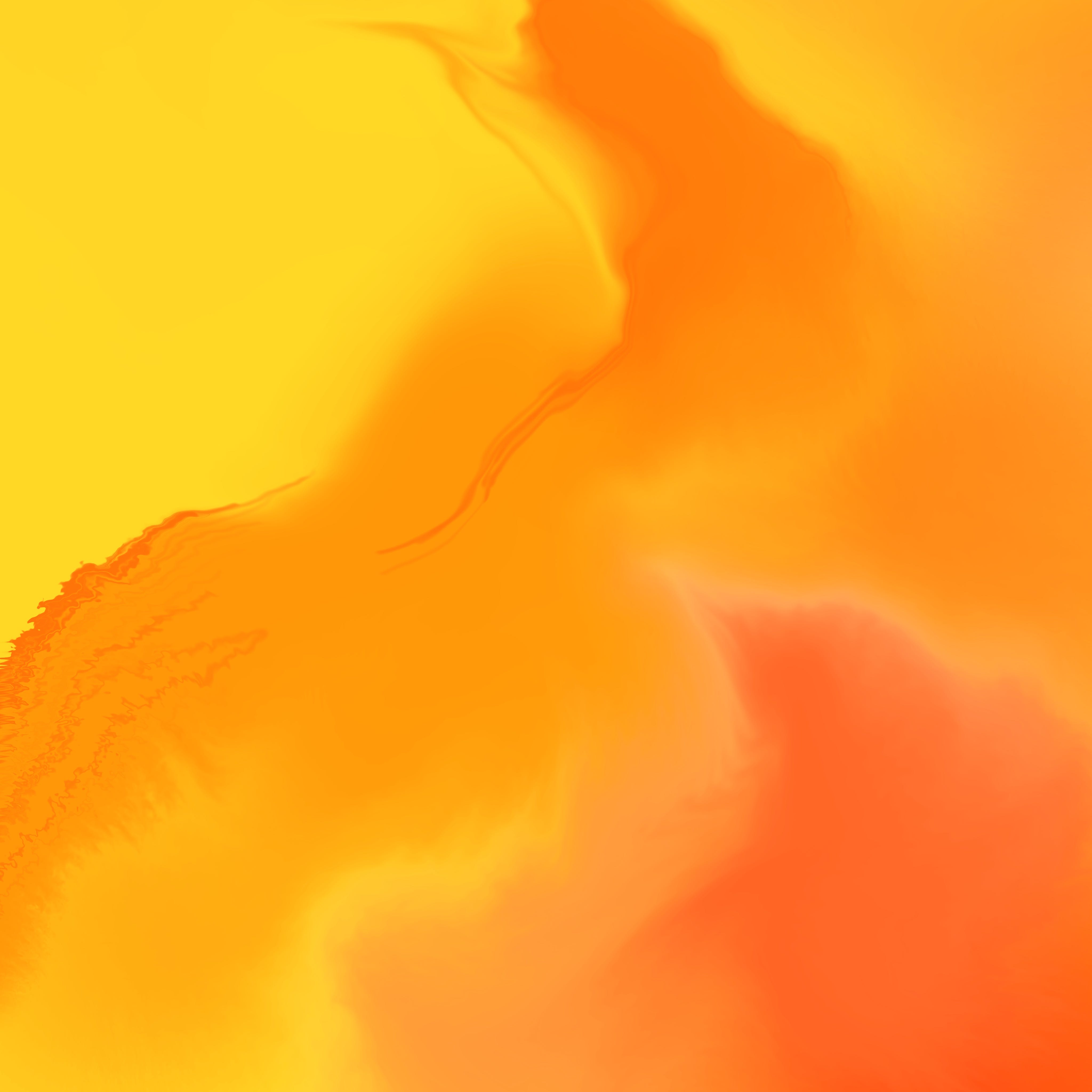 Wild Orange A Poem By Karen L Jones Illumination Dec 2020 Medium
