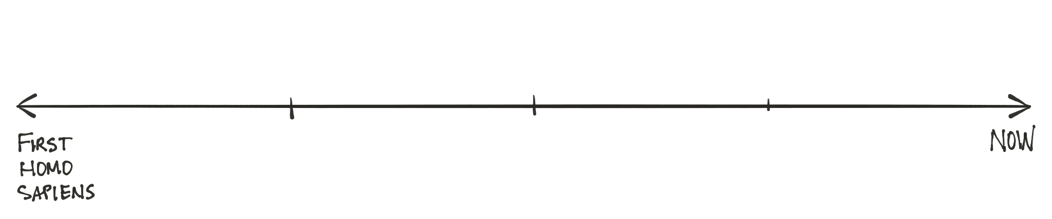 The Human Timeline - Number By Colors