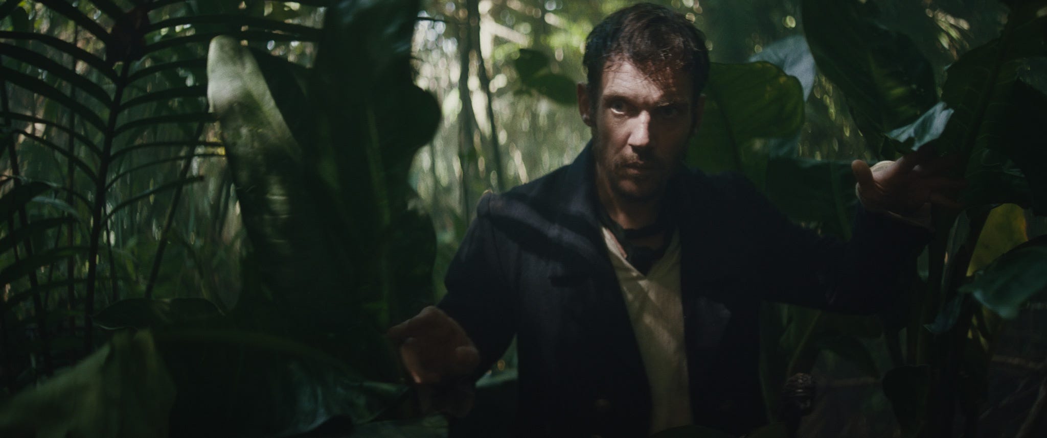 James peers through the shadowed foilage at a threat.