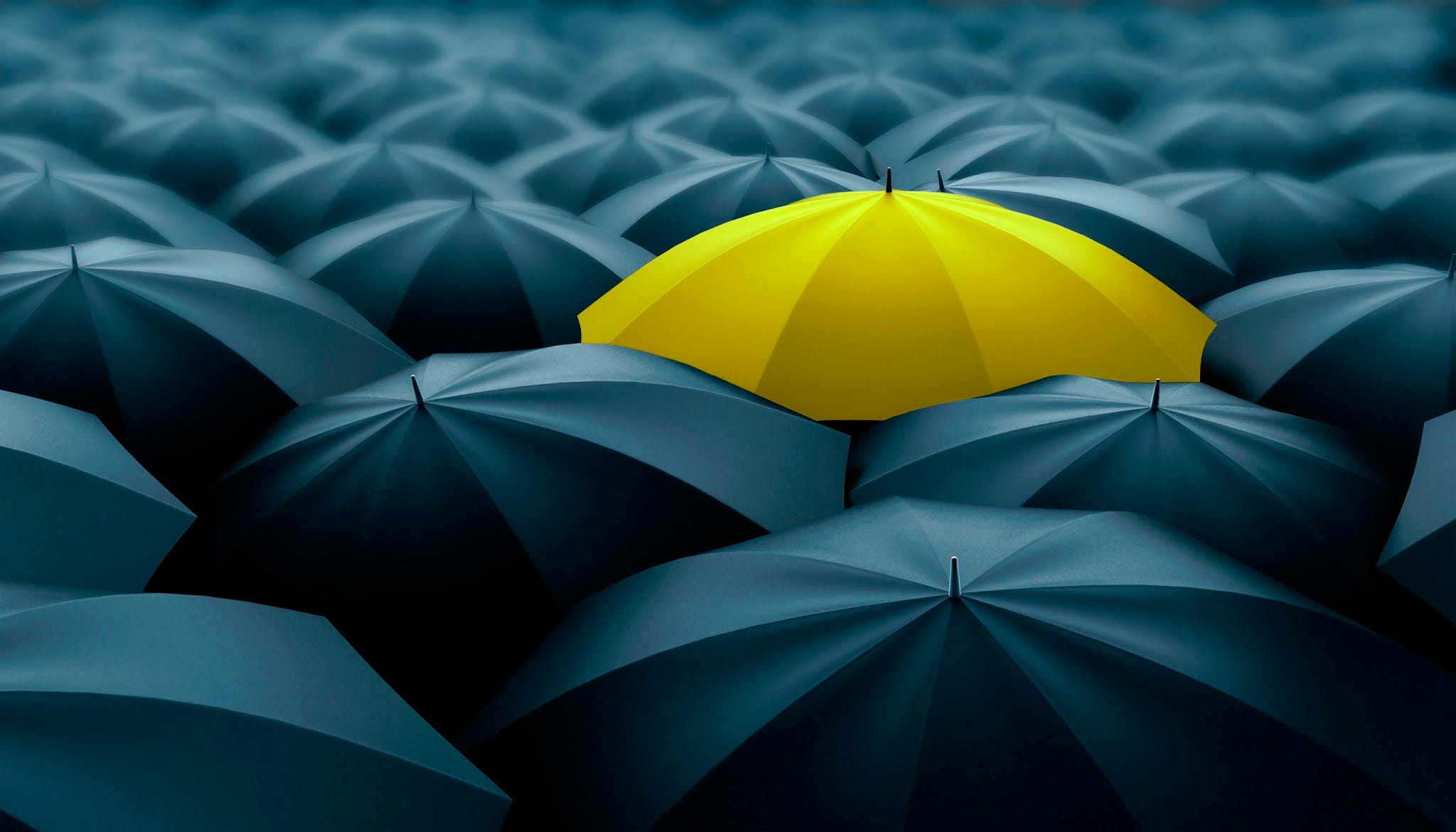 THE ART OF STANDING OUT FROM THE CROWD THAT EVERY BUSINESS SHOULD