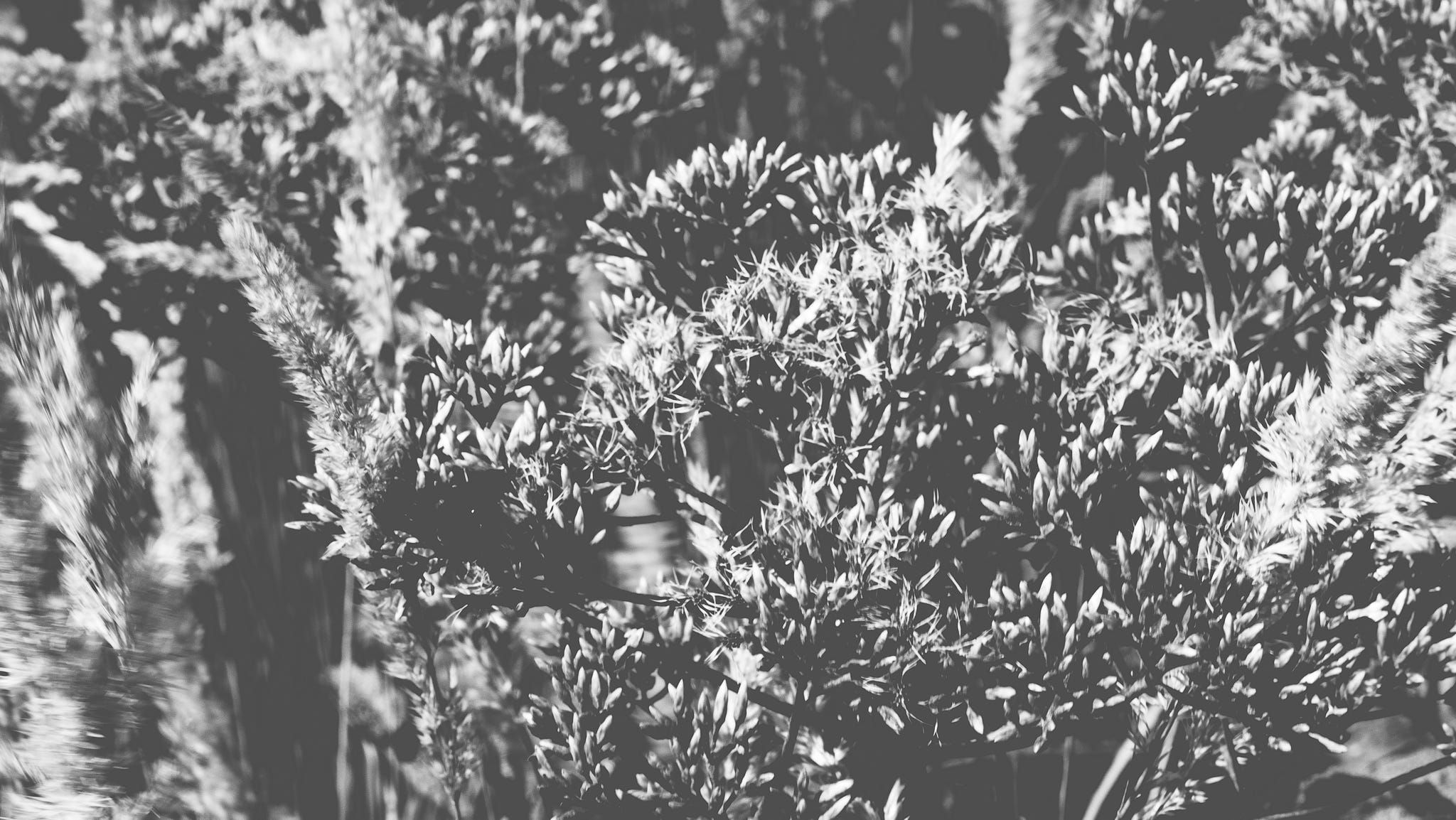 The Liturgical Calendar Learn About The Liturgical Seasons By Phil Lofton Porch Light Collective Medium