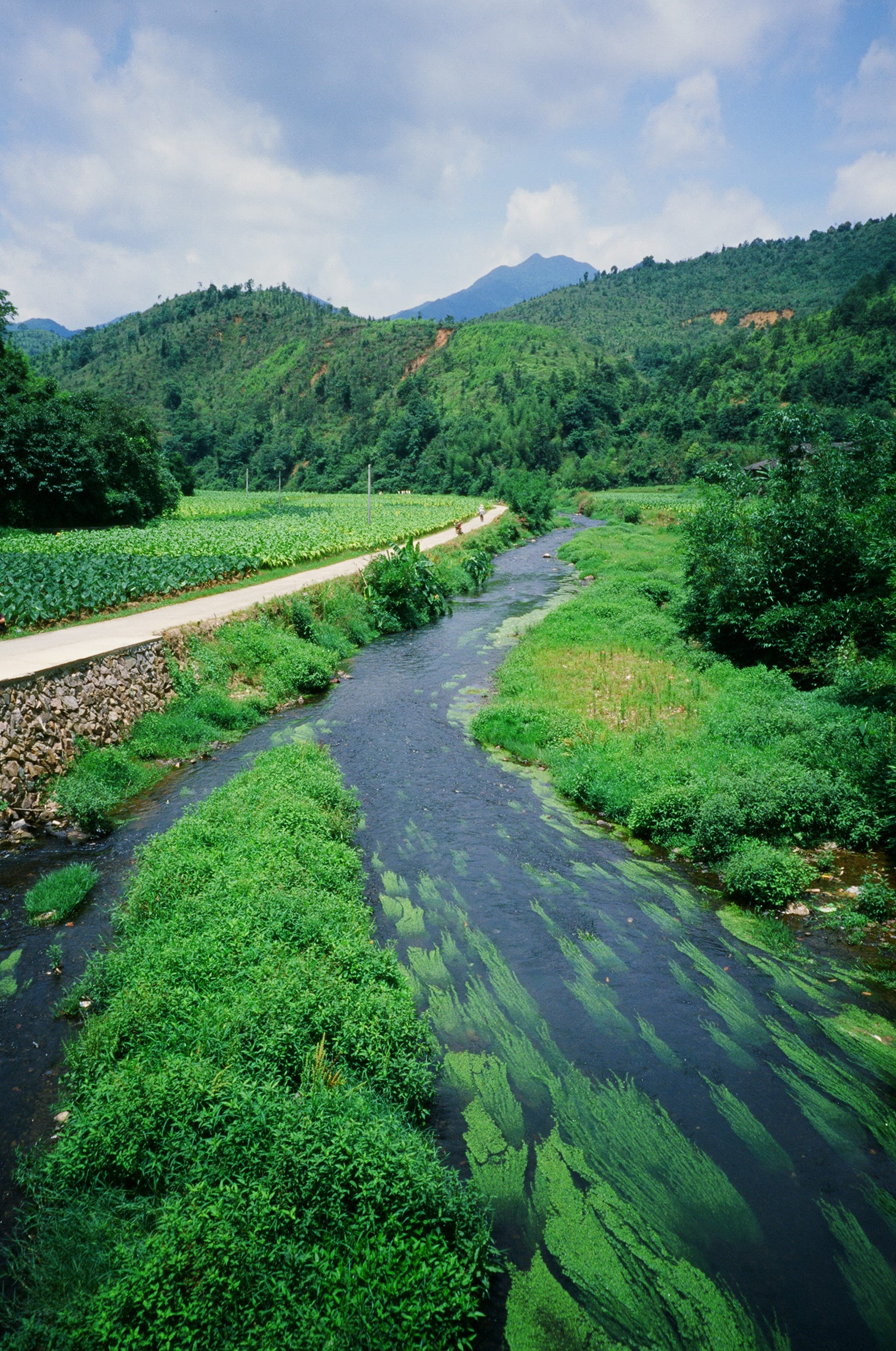 MINOLTA TC-1 ~ The Best 28mm P&S cameras ever made | by LI Sam ...