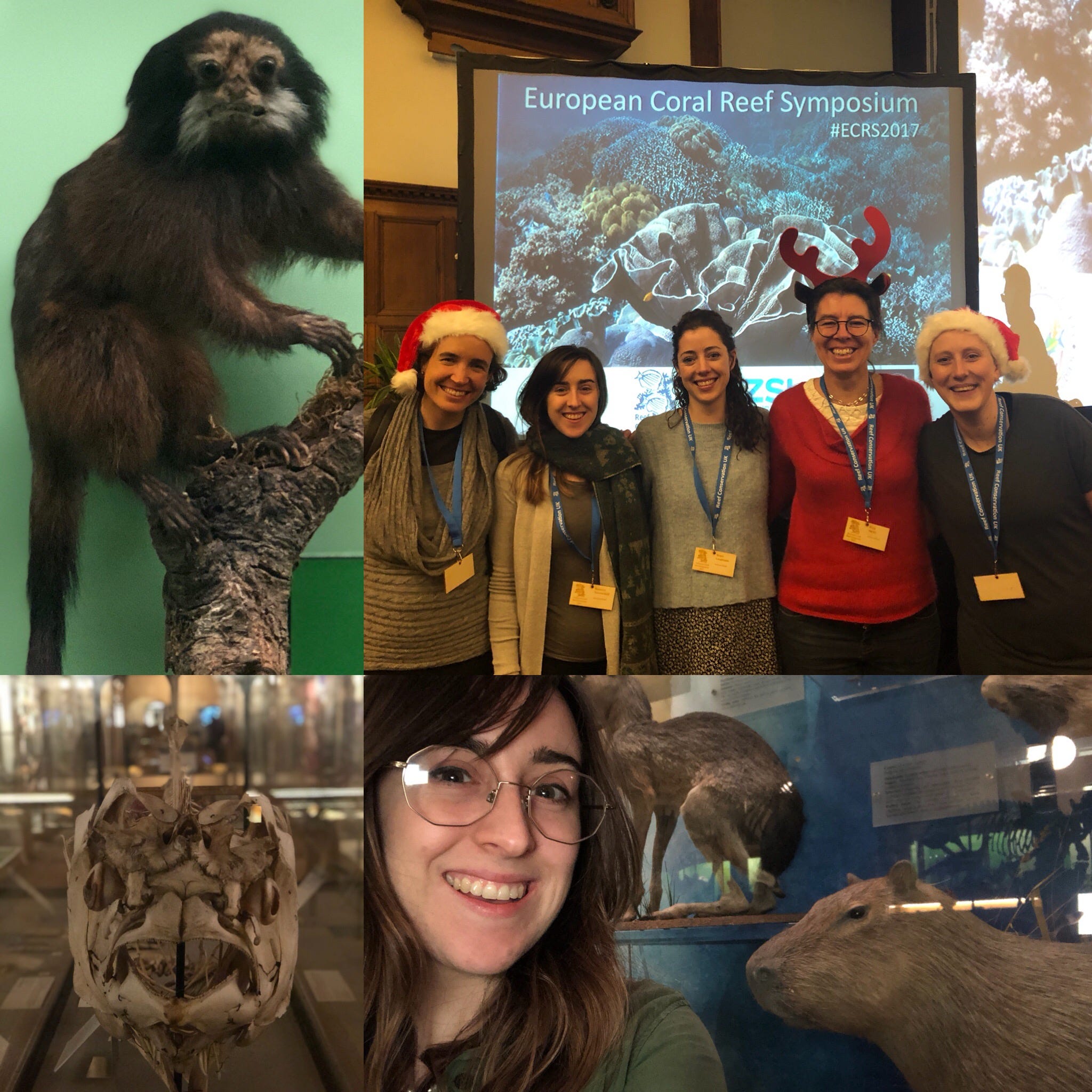 Reflections On The European Coral Reef Symposium Oxford By Bex Summerfield Medium