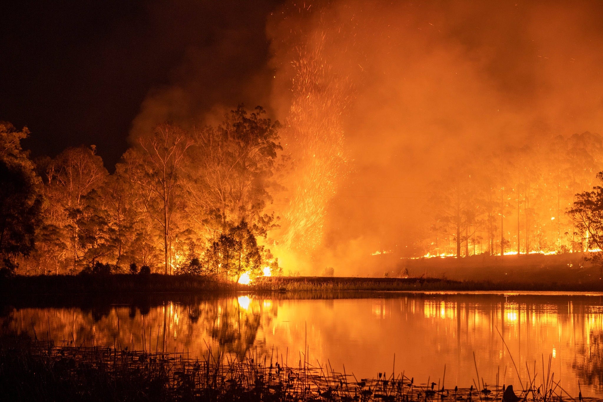A Visualization of the Catastrophic Fires in Australia using the Google