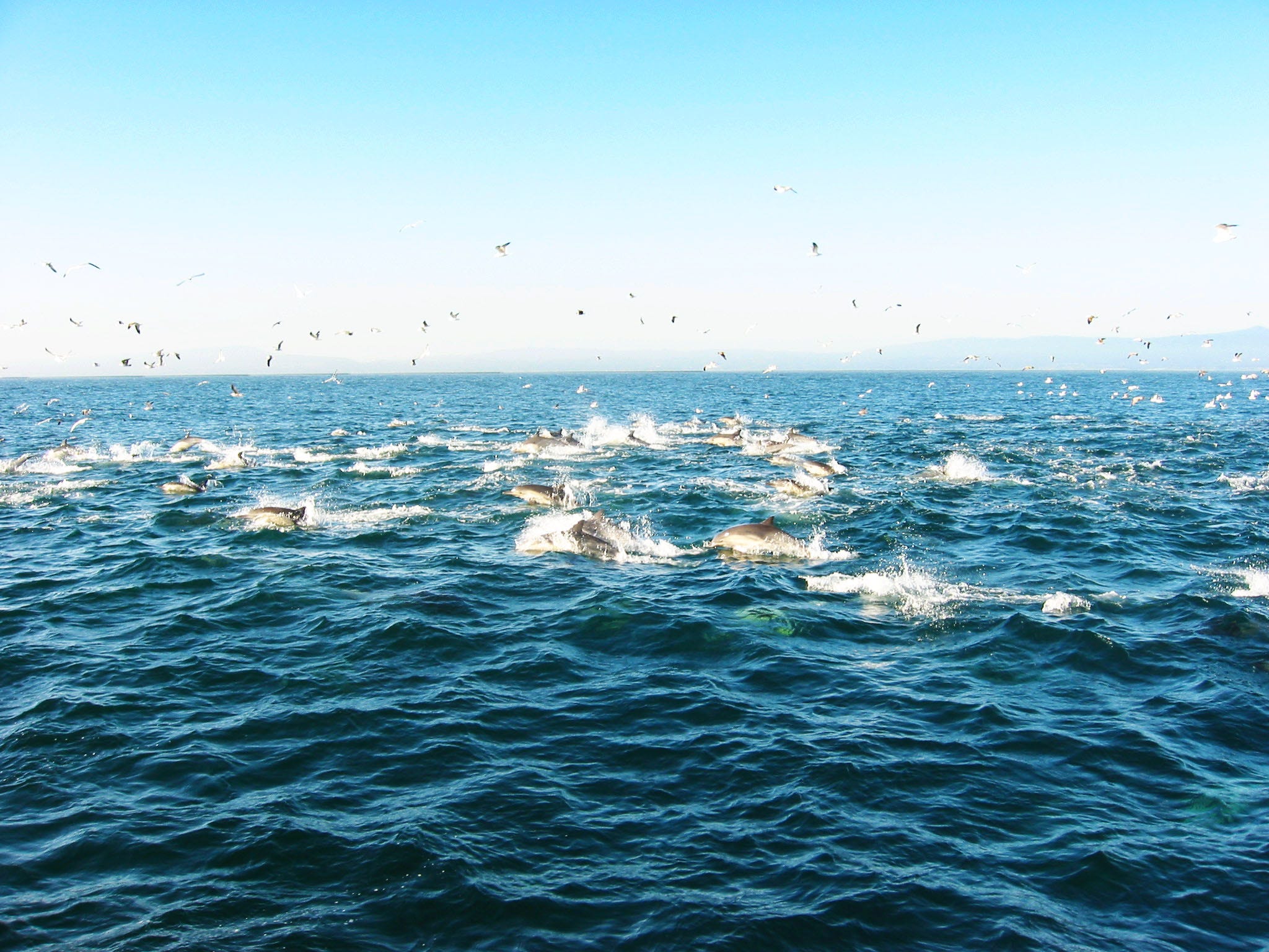 Craigslist Monterey Bay California 15 - 4pi13bi