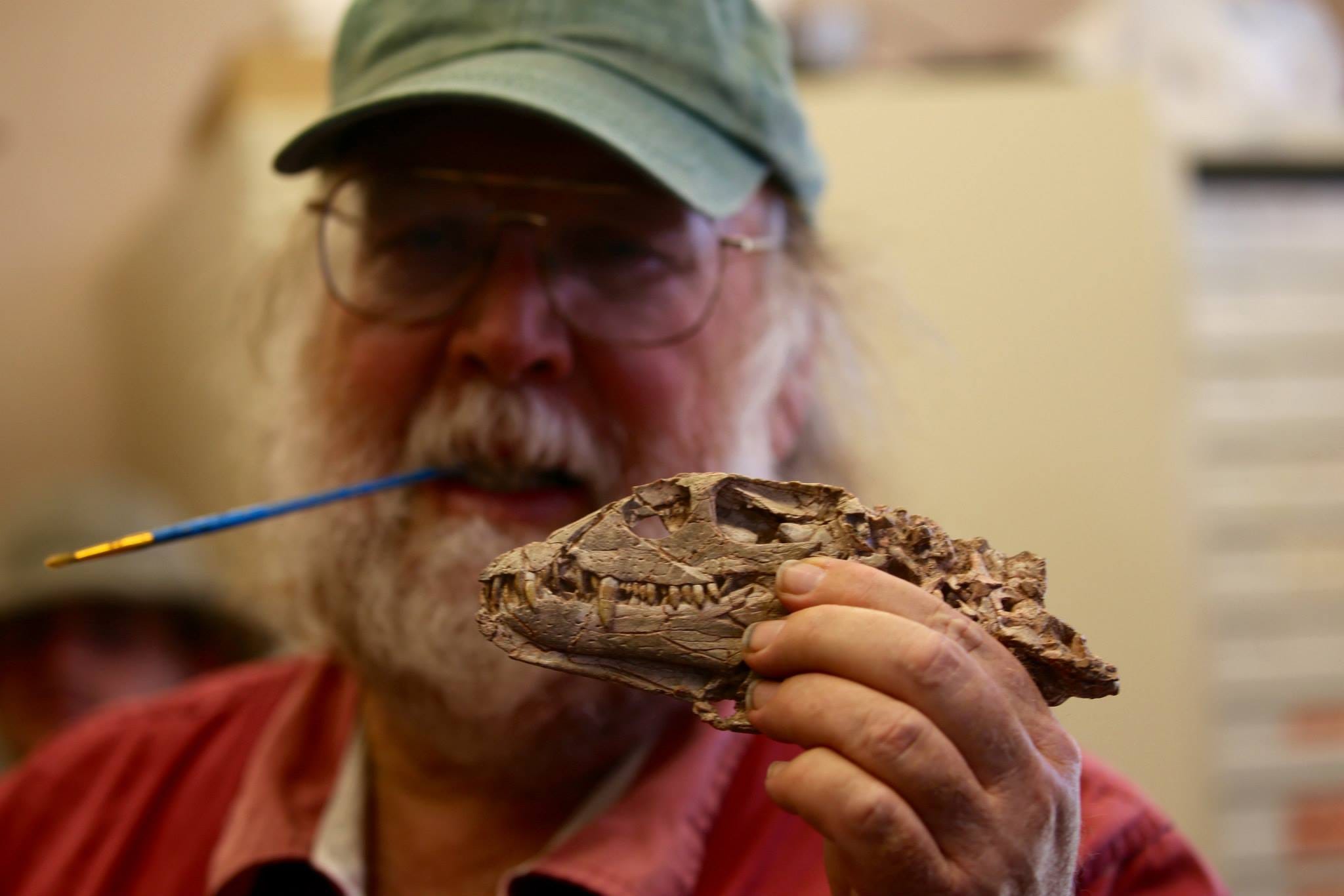 The Fossil Guy. Explorations at Ghost Ranch by Sophie Harrington