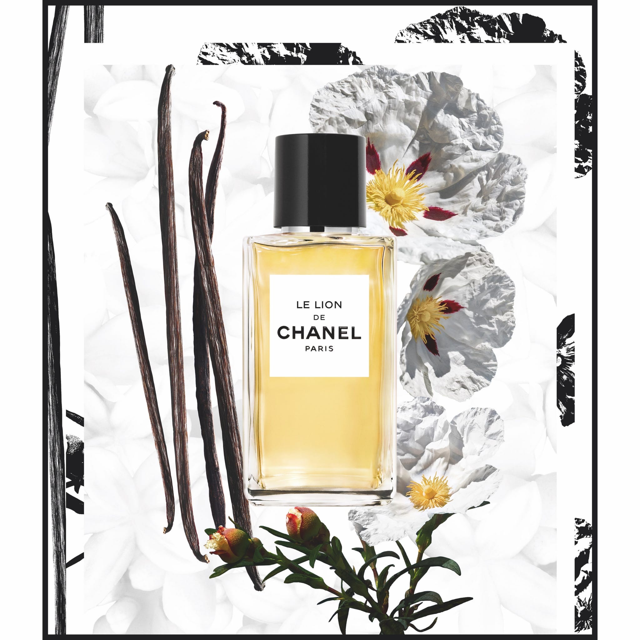 le lion perfume