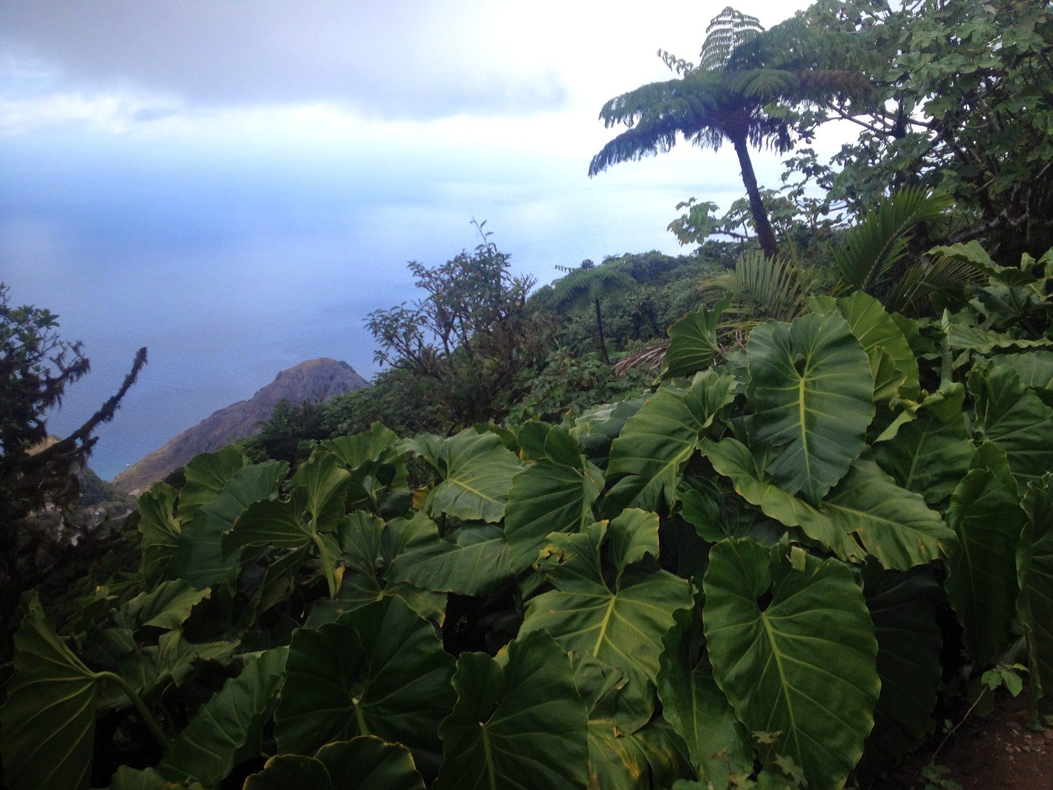 Saba A Tiny Island Haven And Home To The Highest Point Of Land By Nikki Tate Writers On The Run Medium
