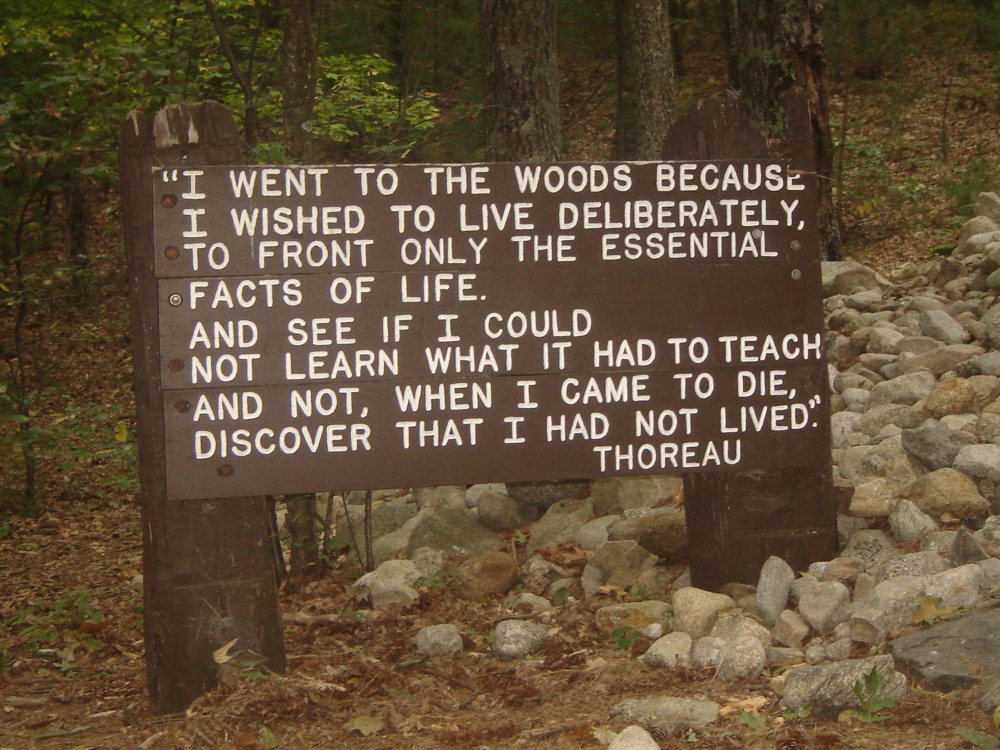 About Walden Or Life In The Woods By Juliana Loredo Medium
