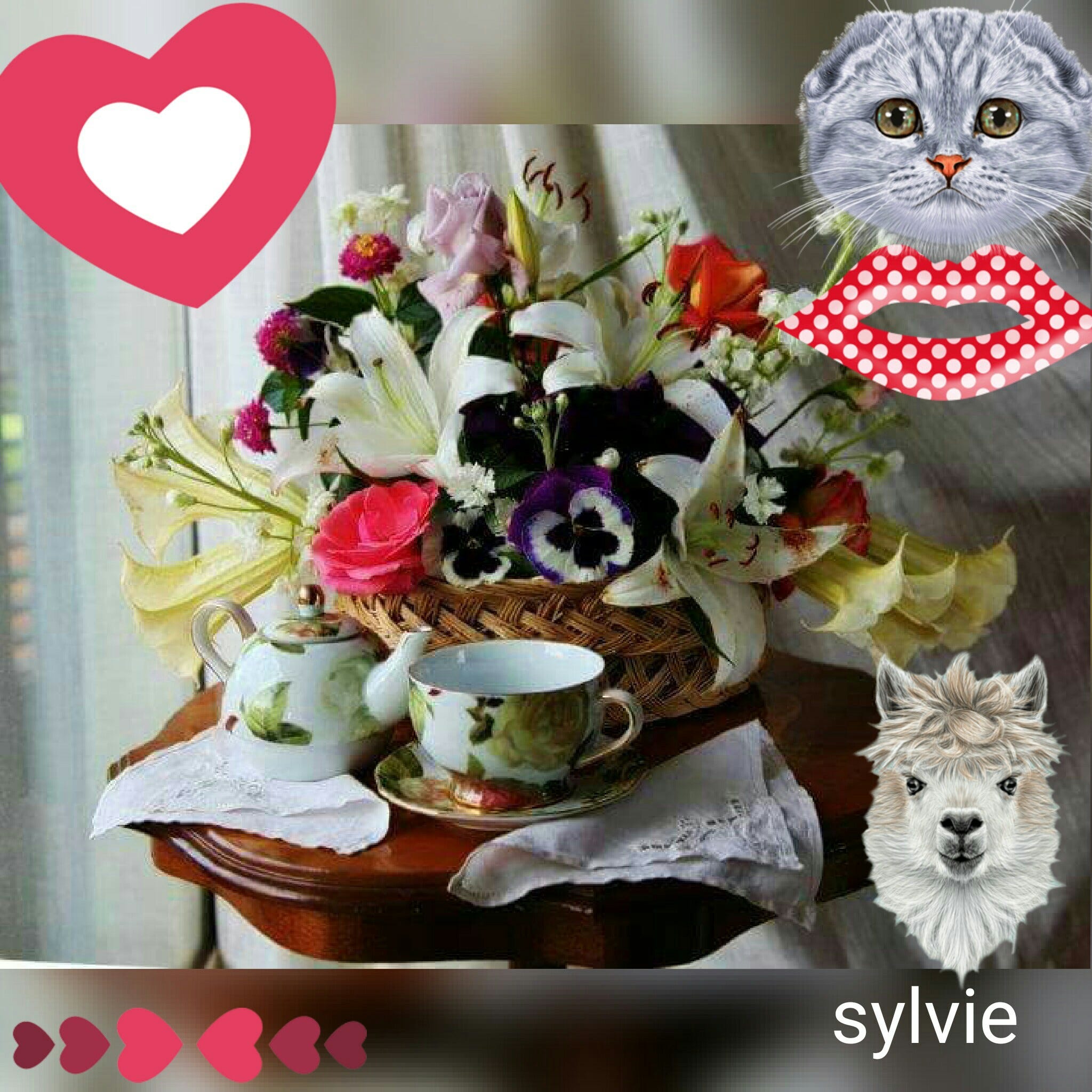 Je Bois Mon Cafe Avec Mon Chaton D Amour Je T Aime By Sylve Medium