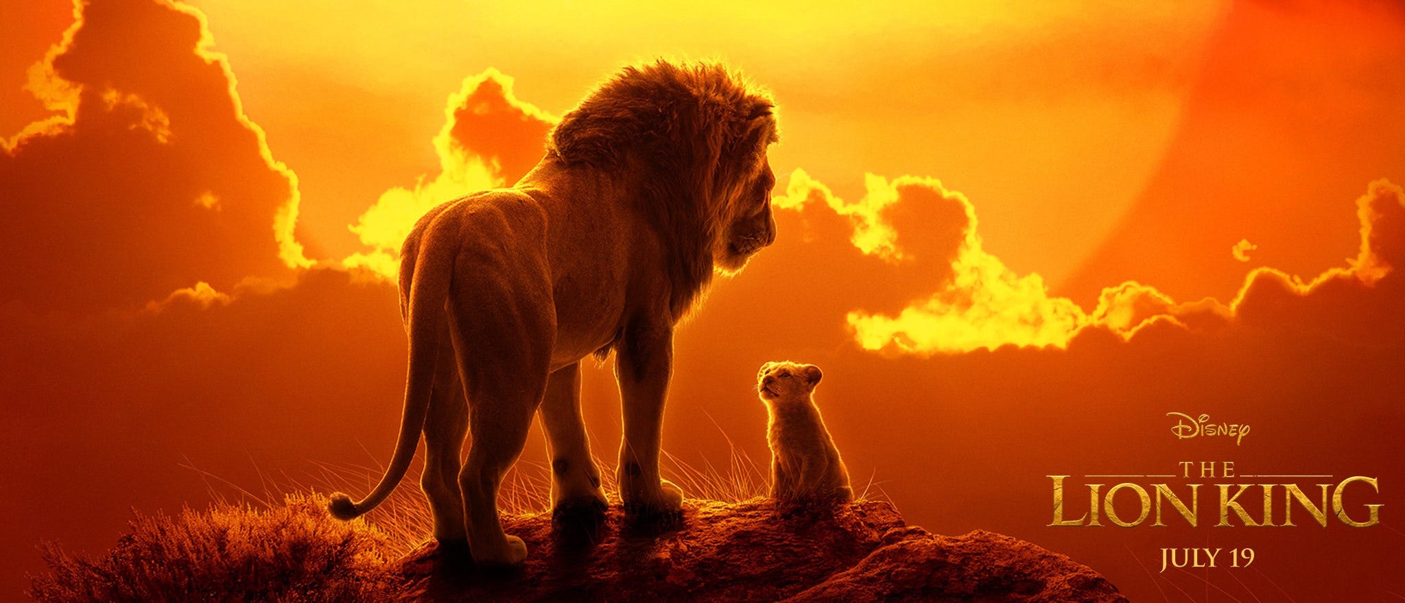 Der Konig Der Lowen 19 Film Vollstandiges Film Streaming By The Lion King 19 Medium