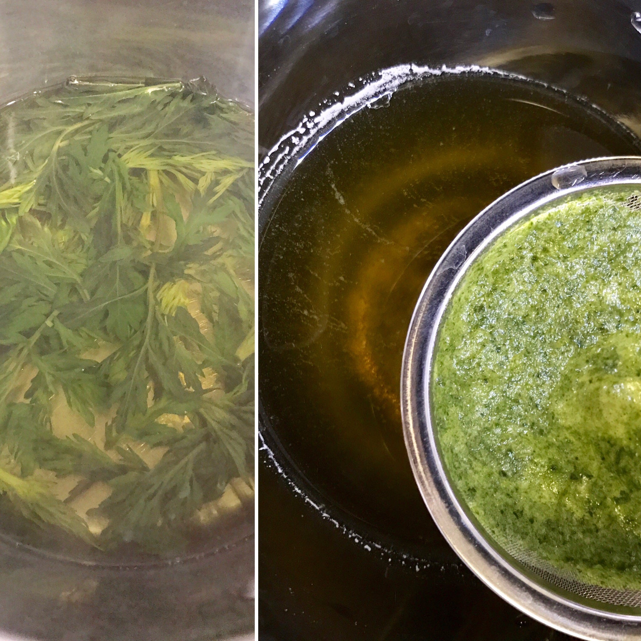 Mugwort — The wild edible and recipes - Mei Wong - Medium