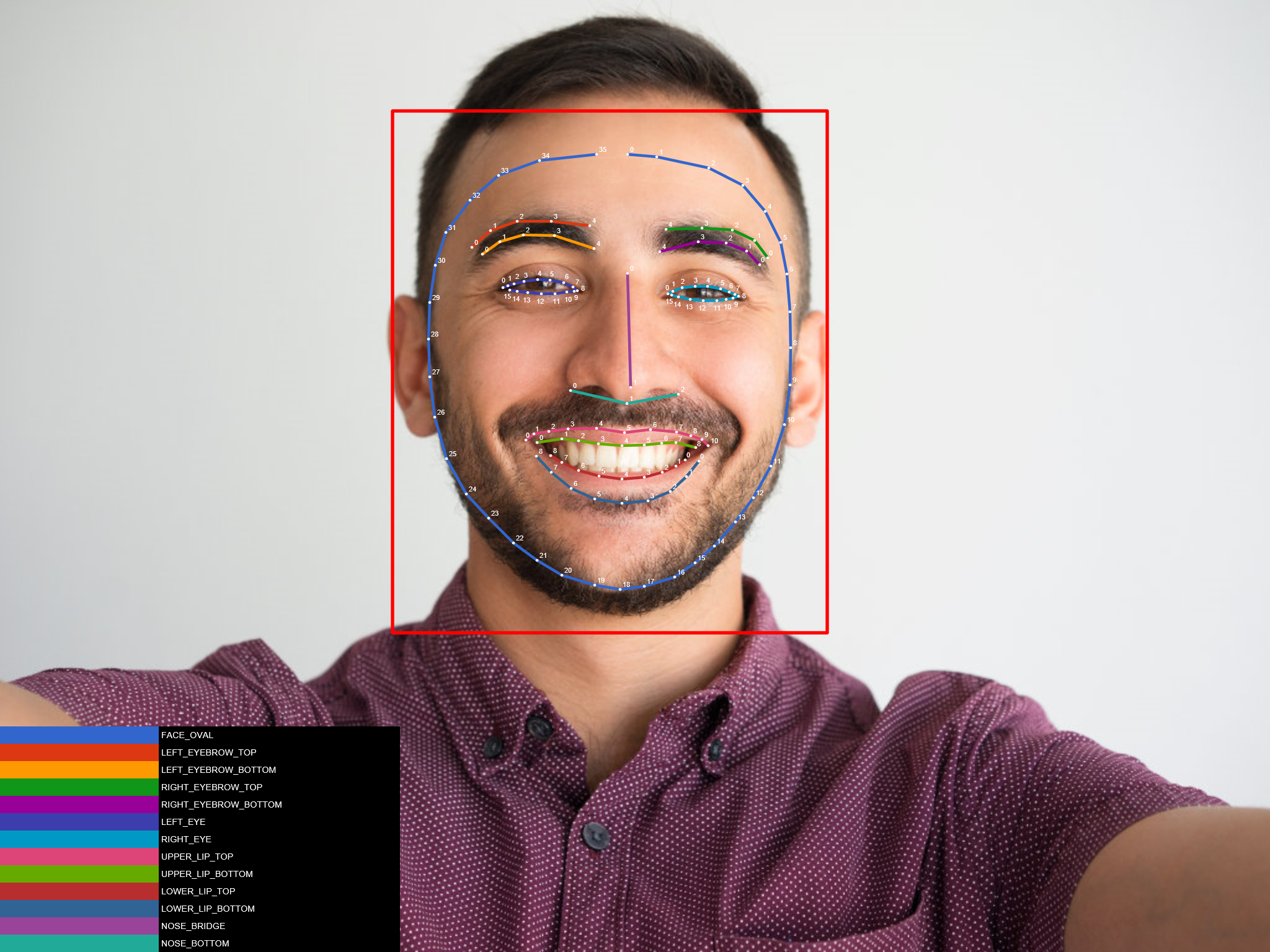 ml kit tutorial