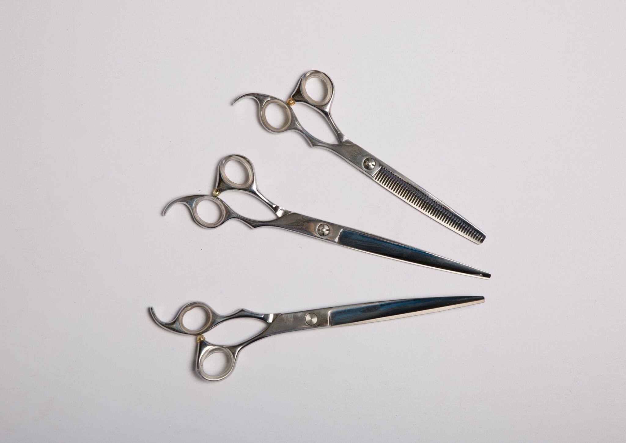 salon grade scissors