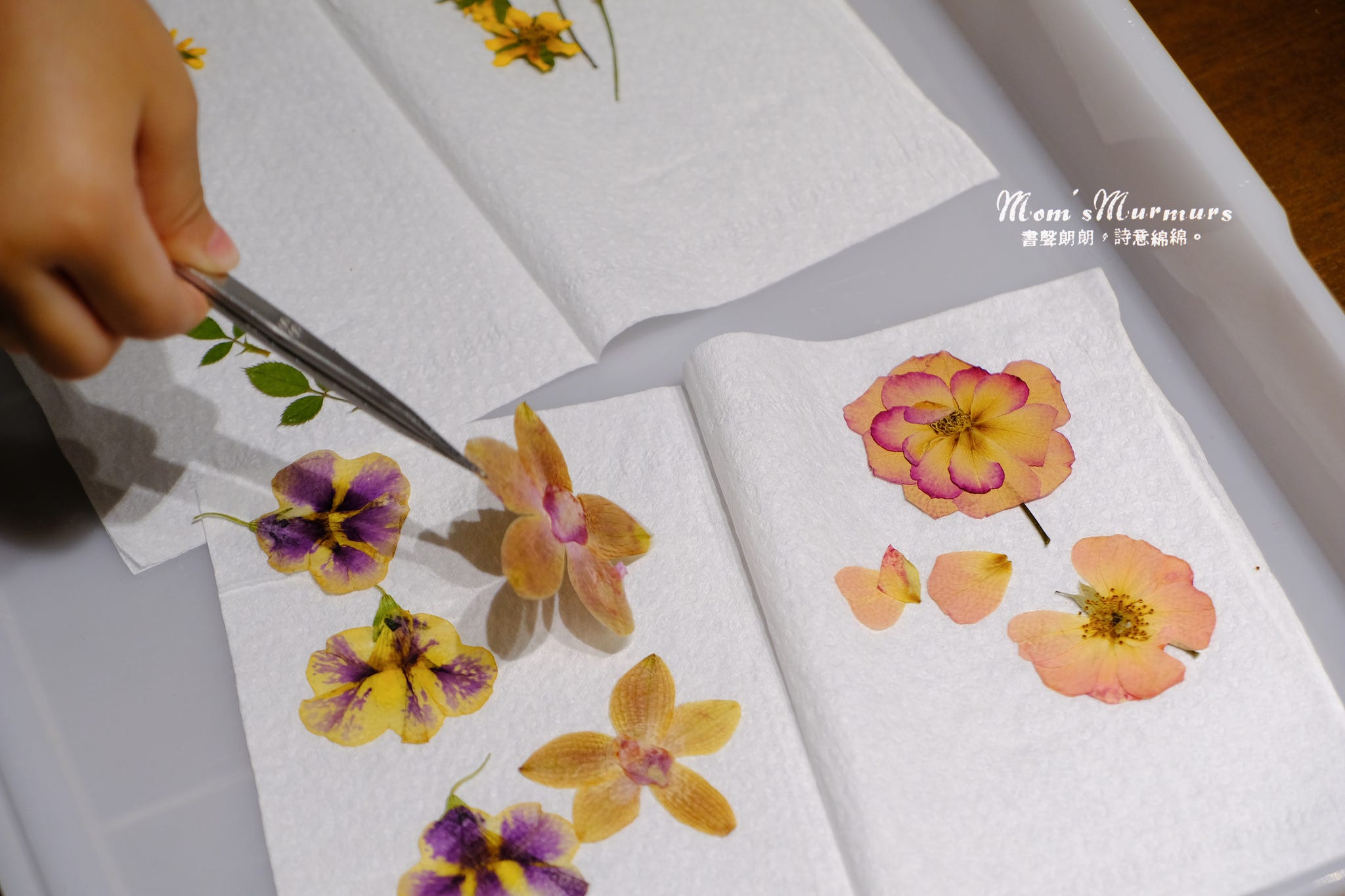 S02e06 押花藝術 內容難度 By Noel Lu Mom S Murmurs Medium
