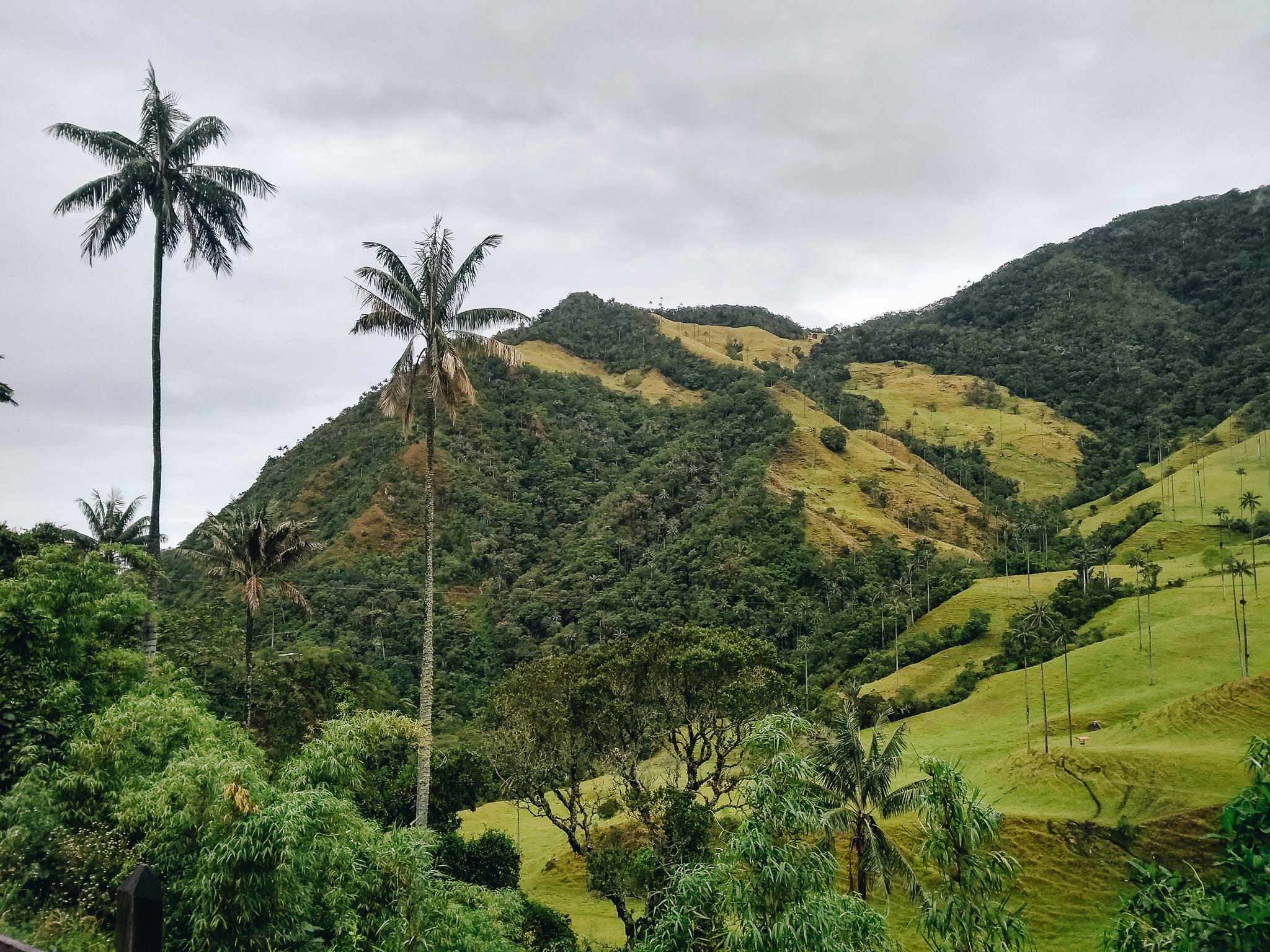 Eje Cafetero, Colombia. A photo journey of the colorful coffee…  by 