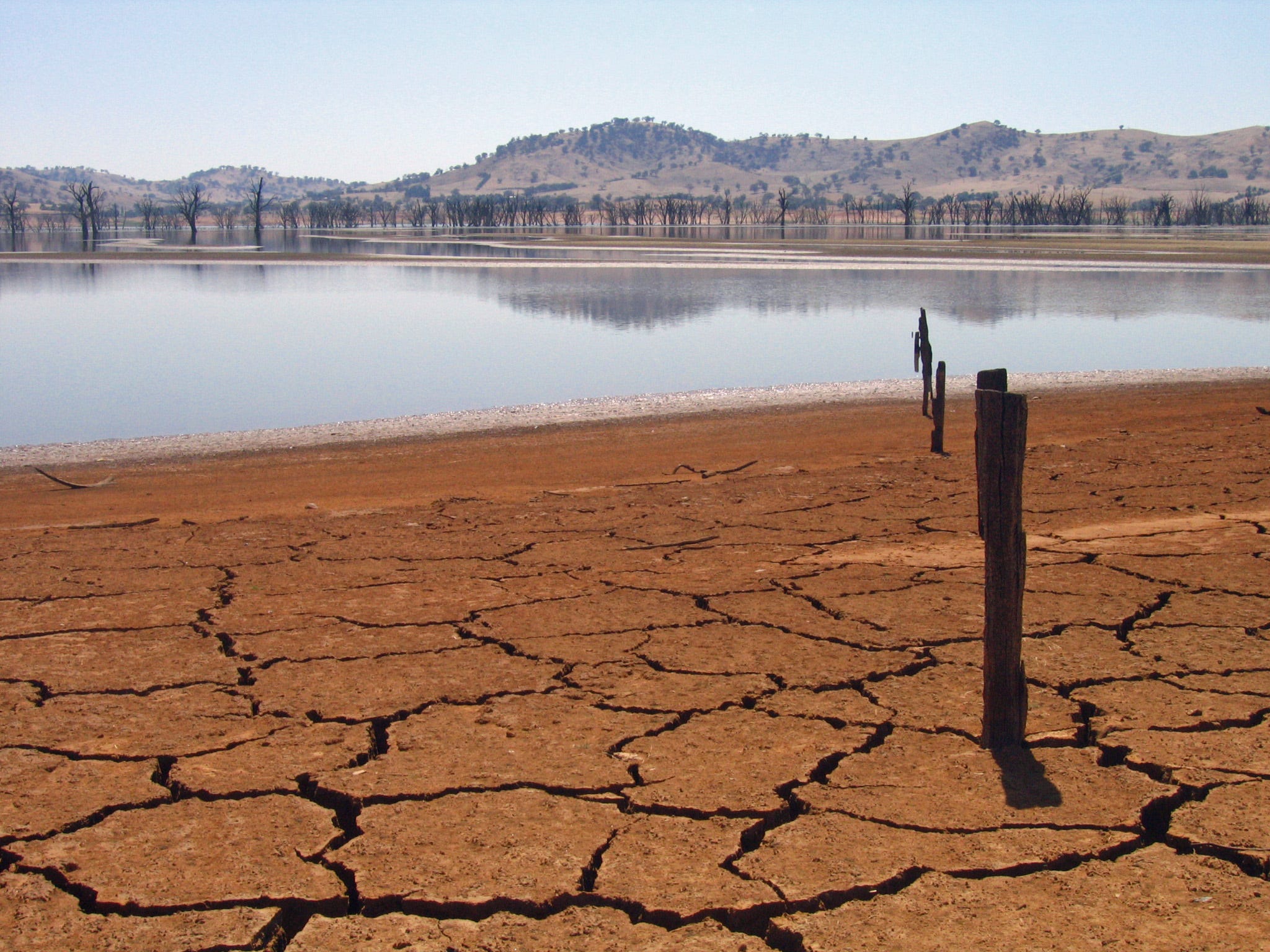 Why Is Water Vanishing Worldwide? Drying Soils, Say Researchers