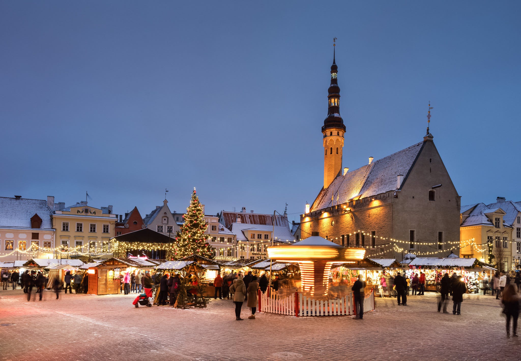 Want to cut down a Christmas tree in Estonia? There's an ...