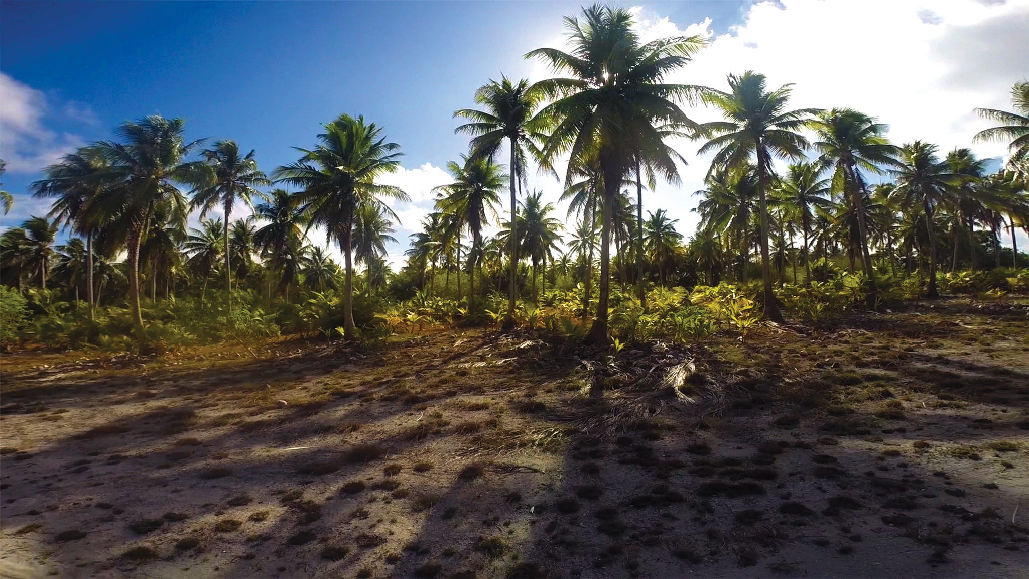 What Bikini Atoll Looks Like Today | by Stanford Magazine | Stanford  Magazine | Medium