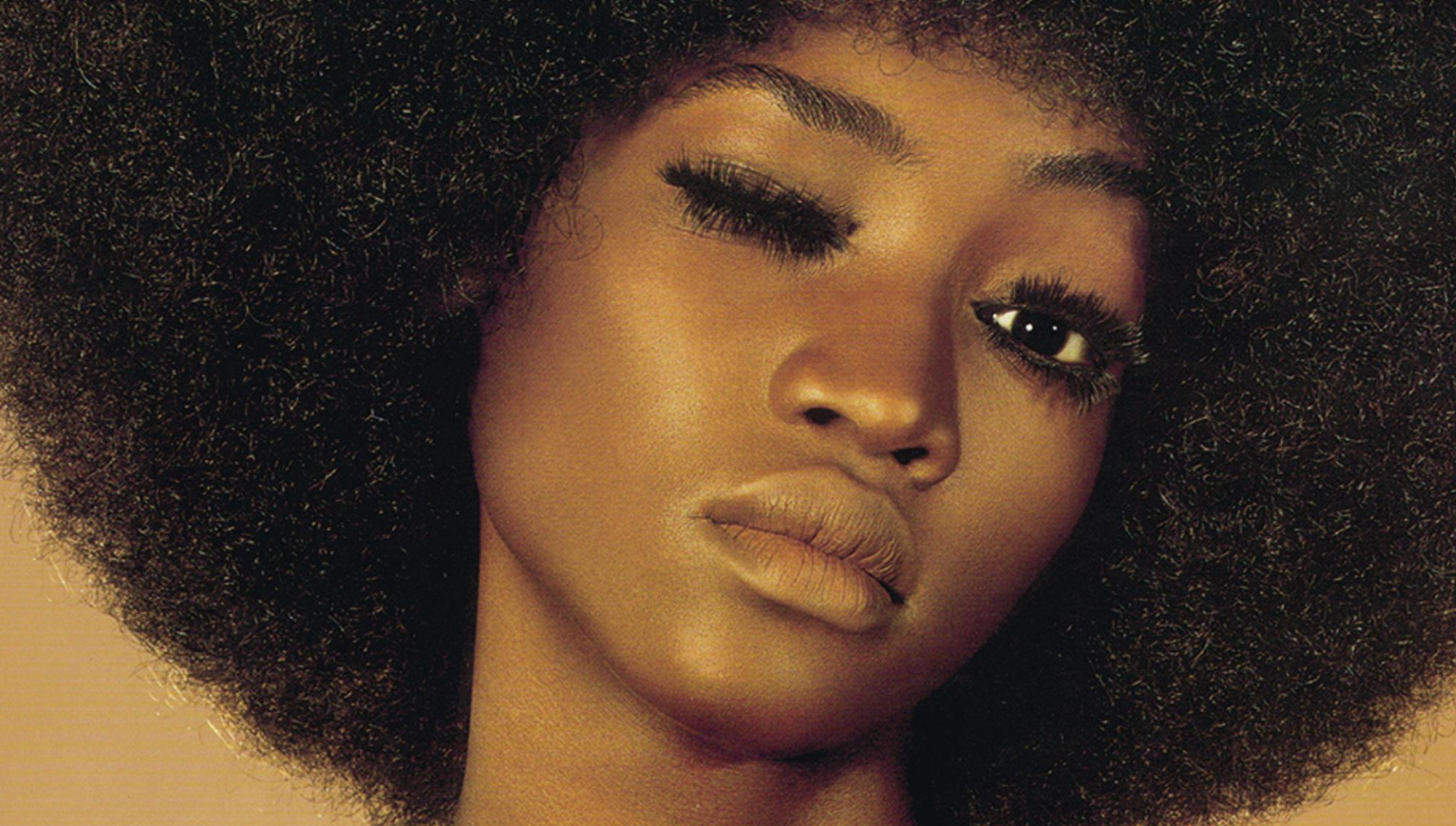 Natural Hair The Way It S Changing Society S Beauty Standards