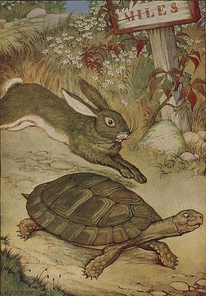 Distracted rabbit: An update to the Rabbit-tortoise story | by Pancham ...