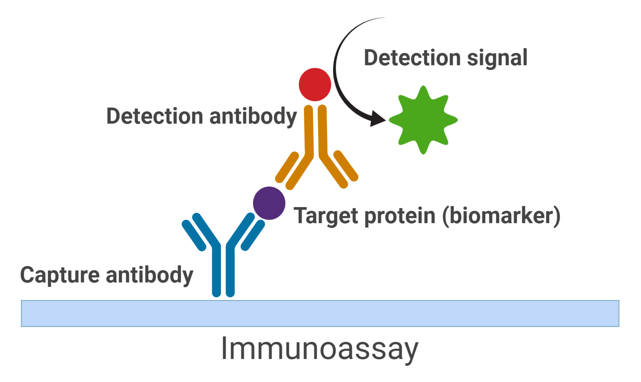 The Race Towards A Blood Test to Detect Neurodegenerative Diseases by