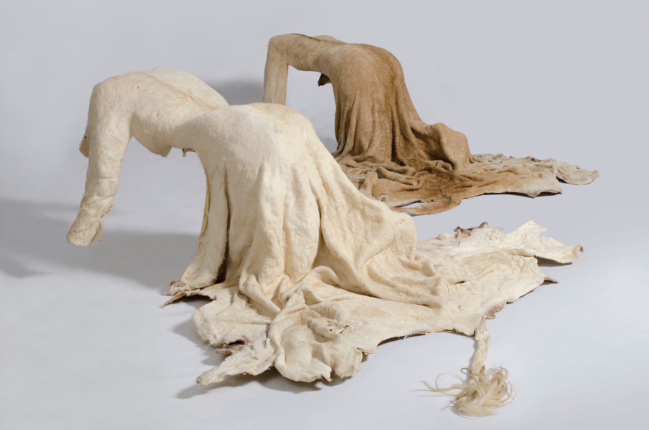 Five Contemporary Feminist Artists You Should Get Acquainted With by